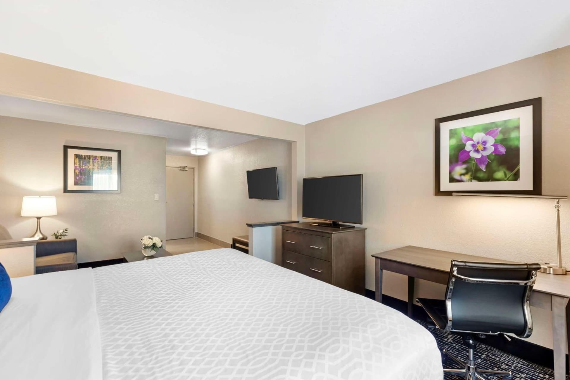 Best Western Greeley gallery photo in Greeley, CO — image 21