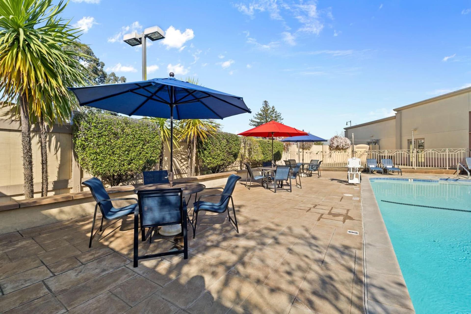 Best Western Petaluma Inn gallery photo in Petaluma, CA — image 23