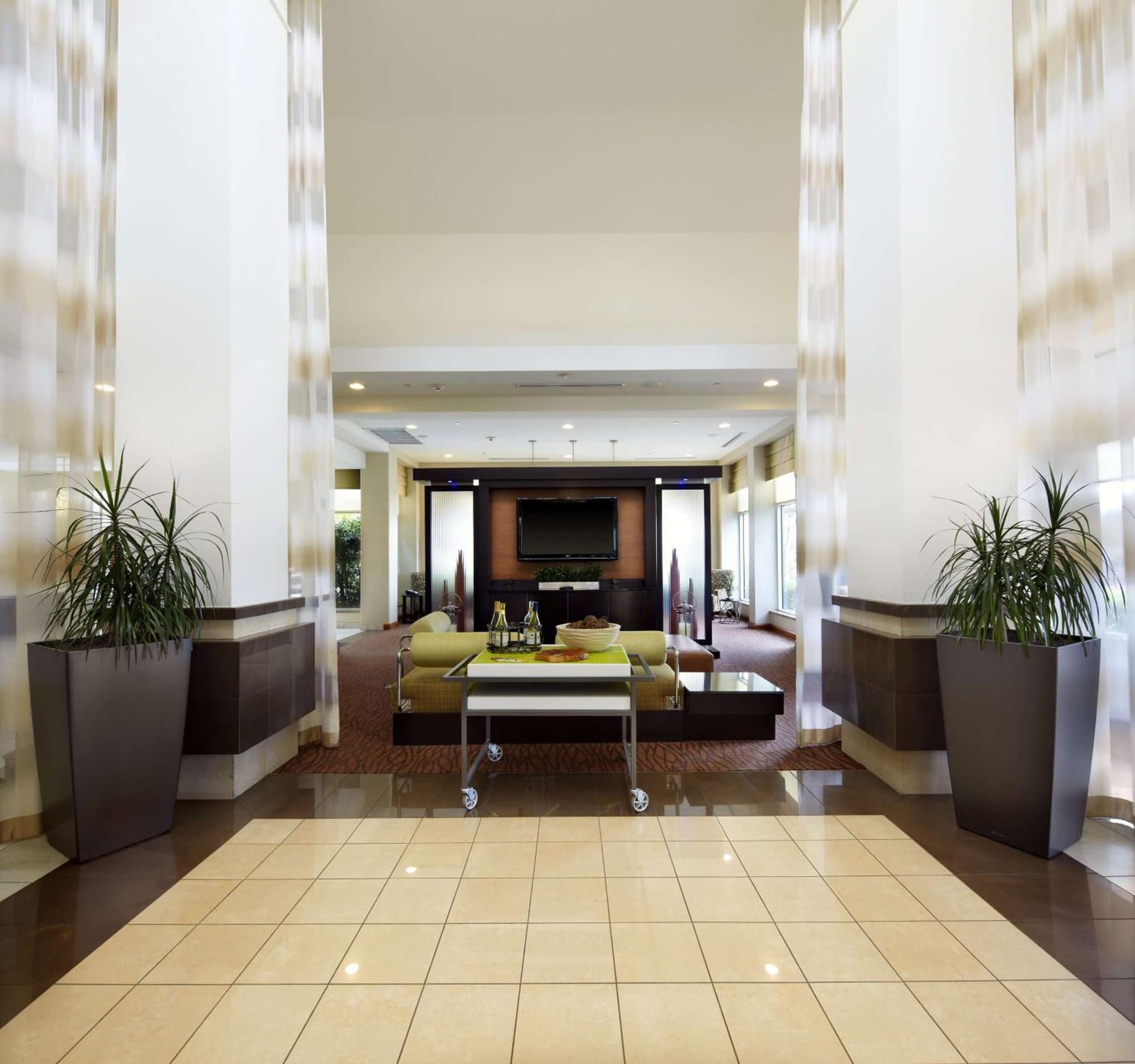 Hilton Garden Inn Dallas Arlington gallery photo in Arlington, TX — image 41