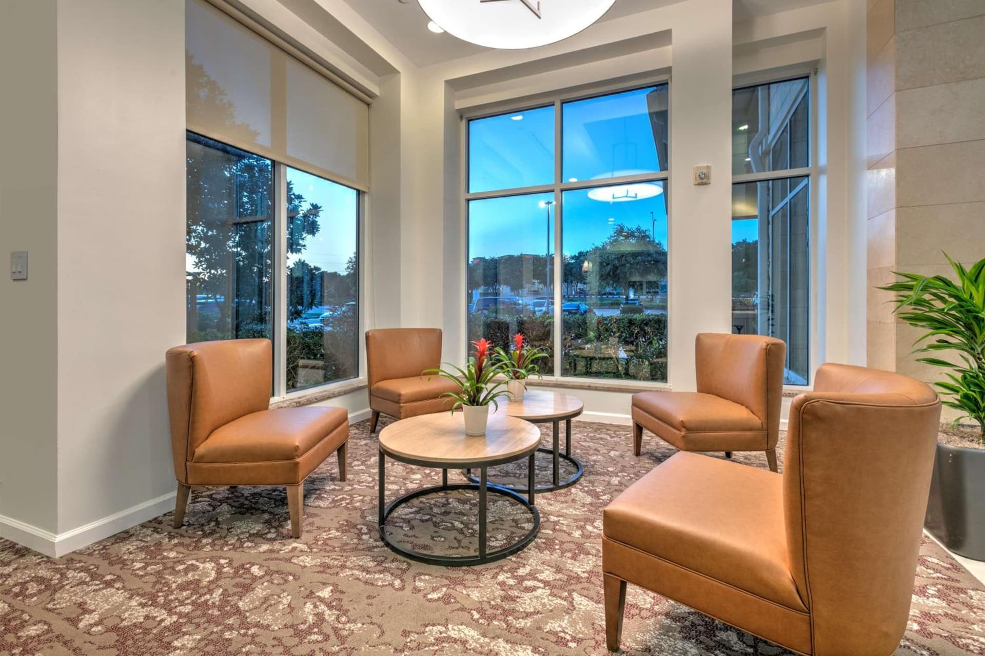 Hilton Garden Inn Dallas Arlington gallery photo in Arlington, TX — image 57