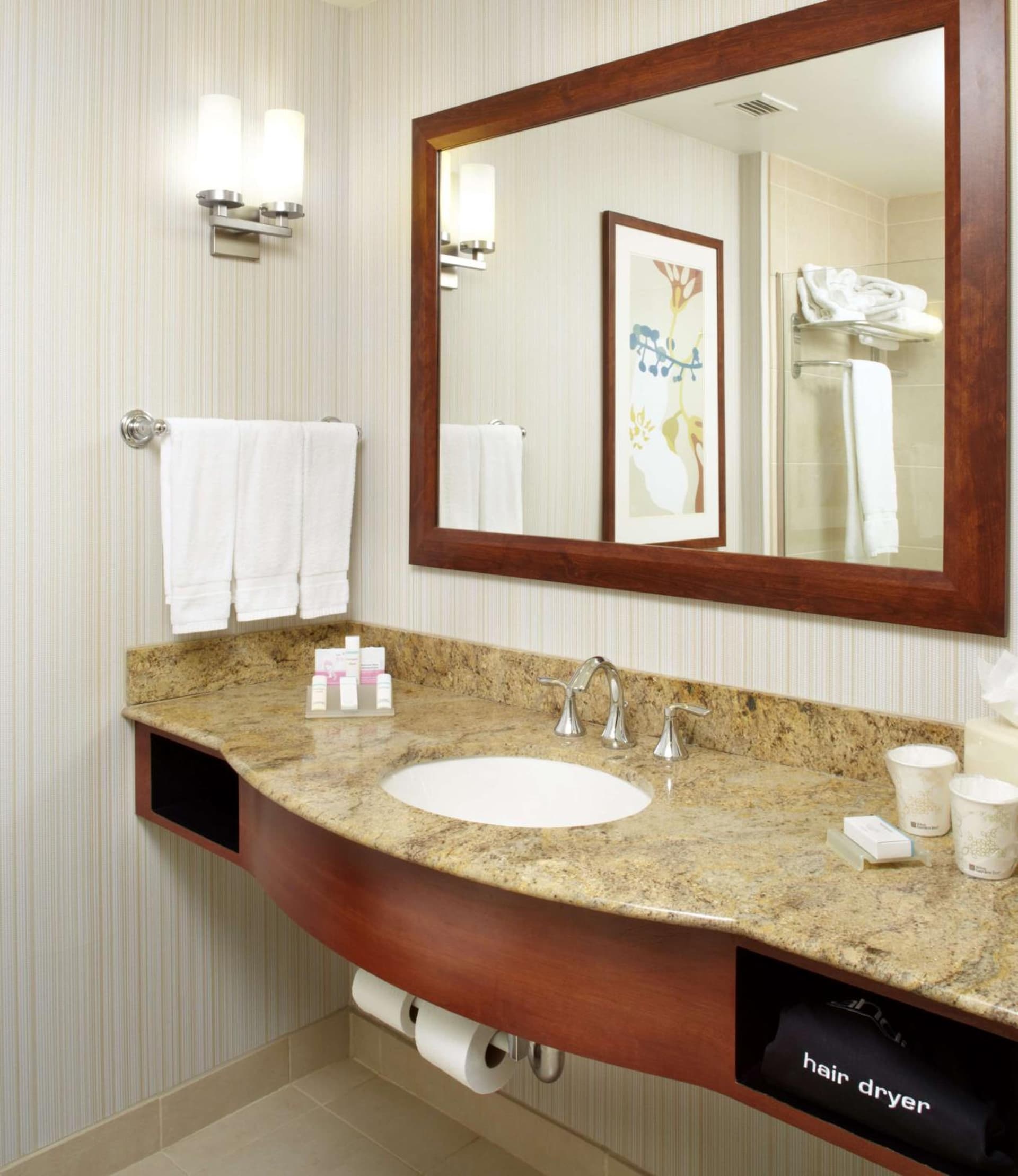 Hilton Garden Inn Dallas Arlington gallery photo in Arlington, TX — image 58