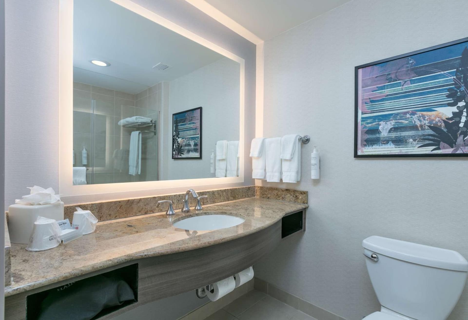 Hilton Garden Inn Dallas Arlington gallery photo in Arlington, TX — image 50