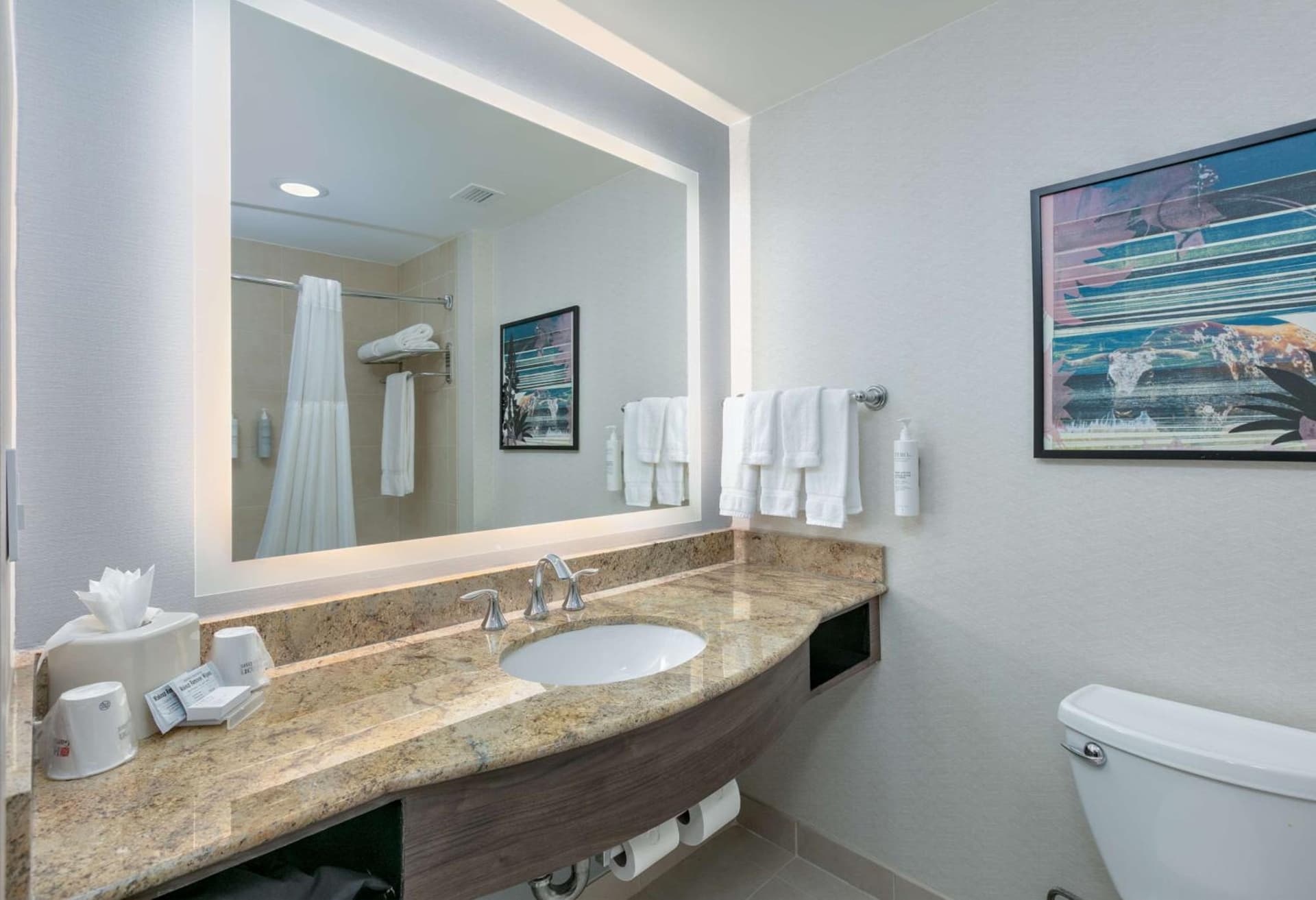 Hilton Garden Inn Dallas Arlington gallery photo in Arlington, TX — image 74