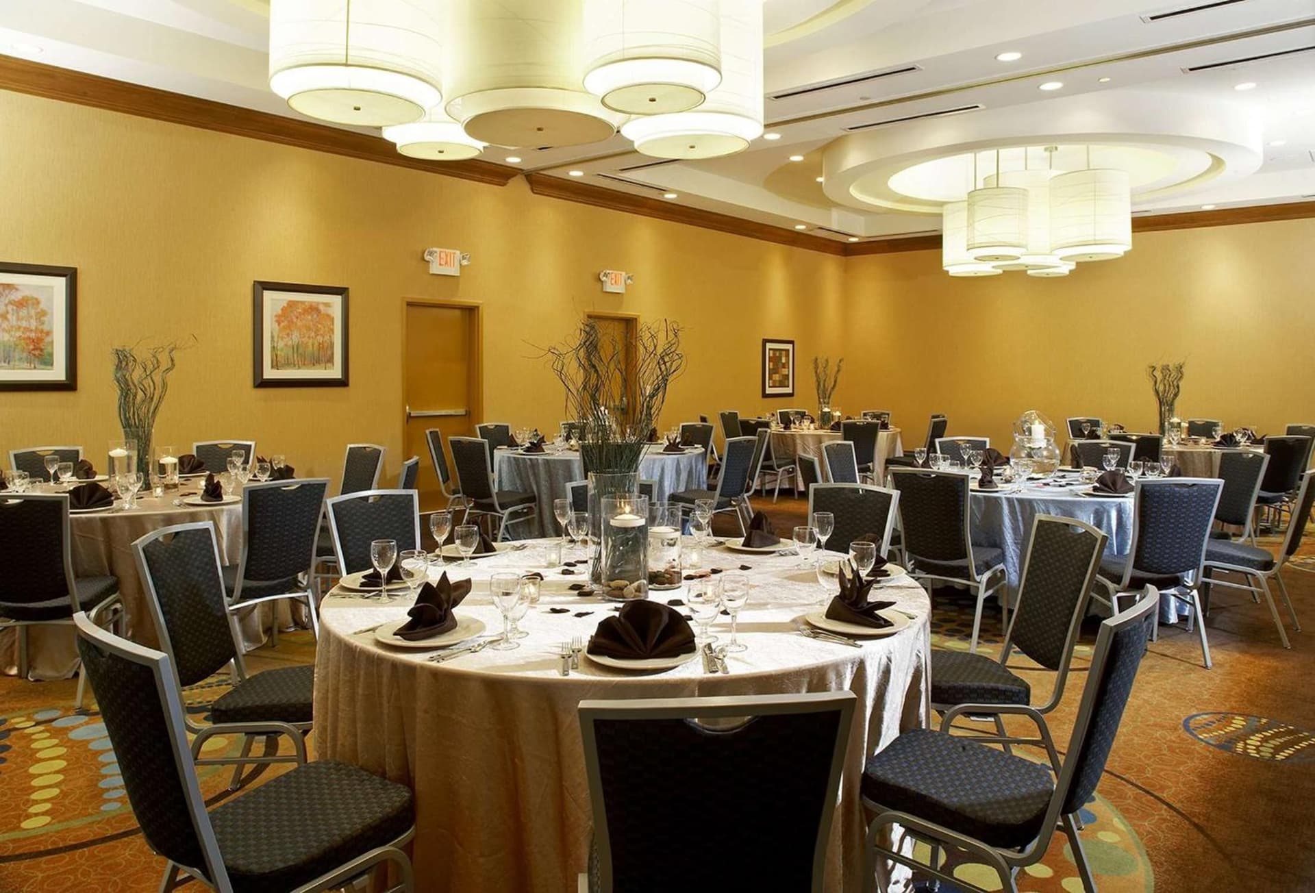 Hilton Garden Inn Dallas Arlington gallery photo in Arlington, TX — image 79