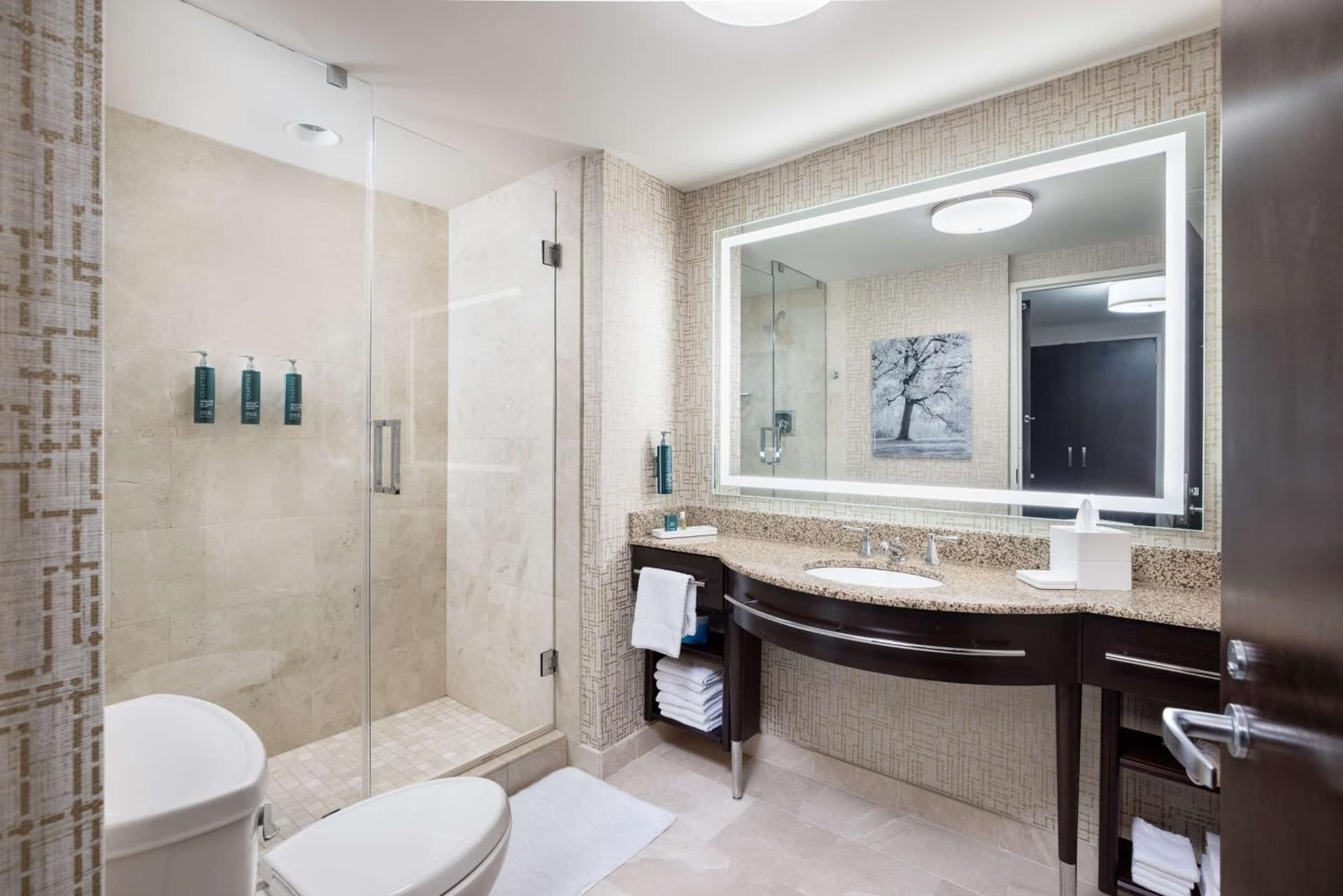 Hilton Americas - Houston gallery photo in Houston, TX — image 64