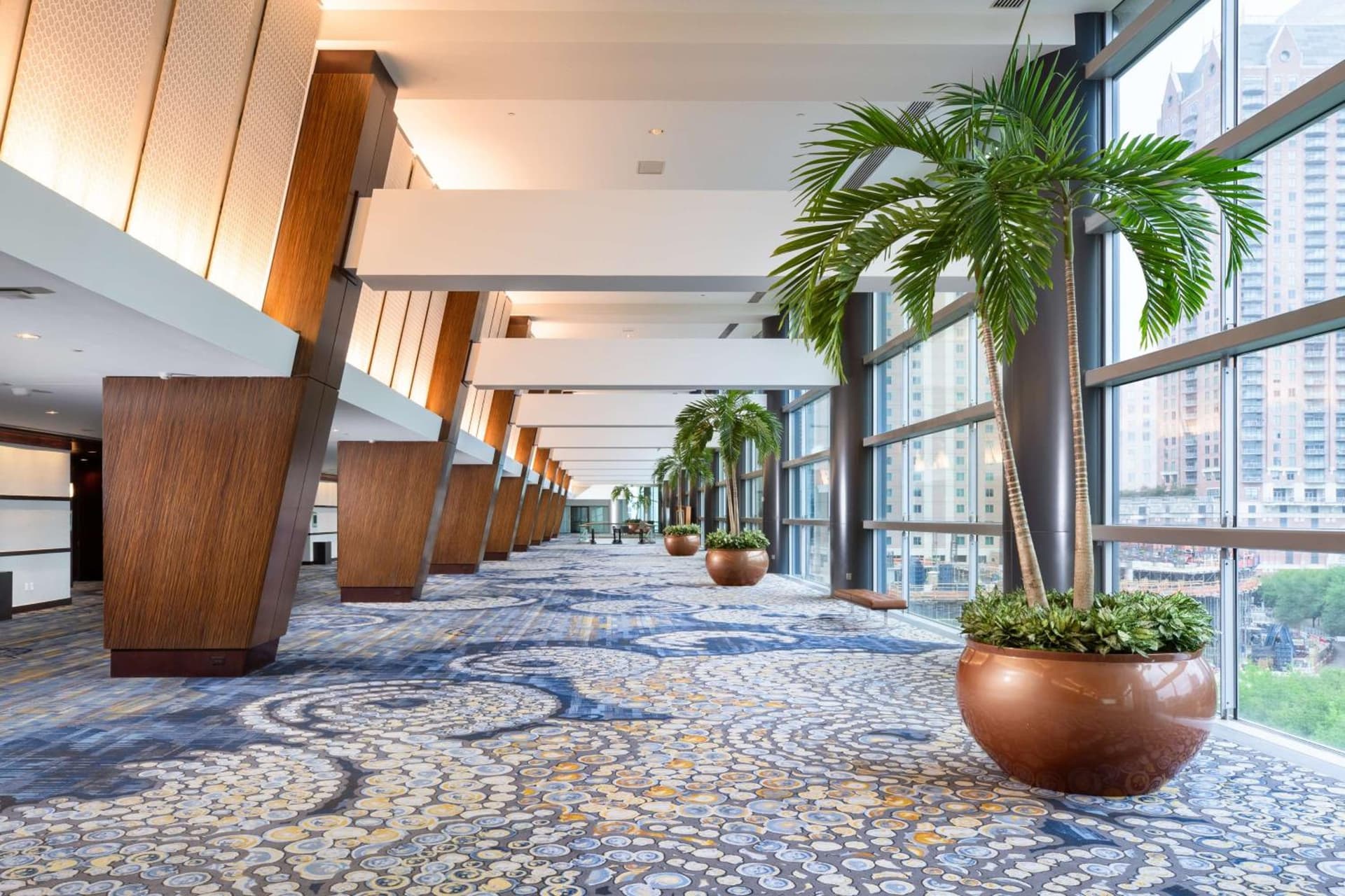 Hilton Americas - Houston gallery photo in Houston, TX — image 66
