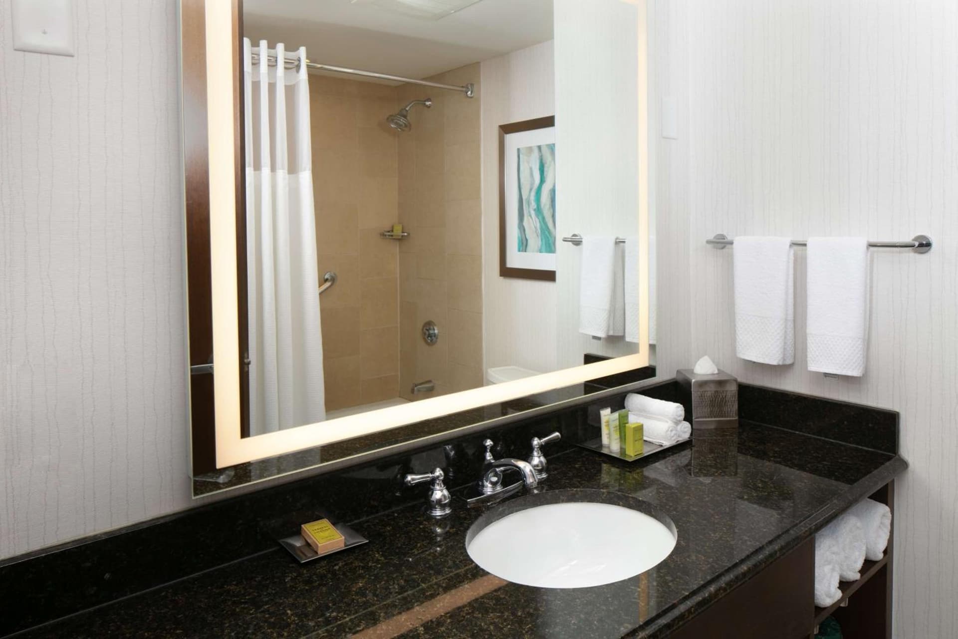 Hilton Minneapolis Bloomington gallery photo in Bloomington, MN — image 42