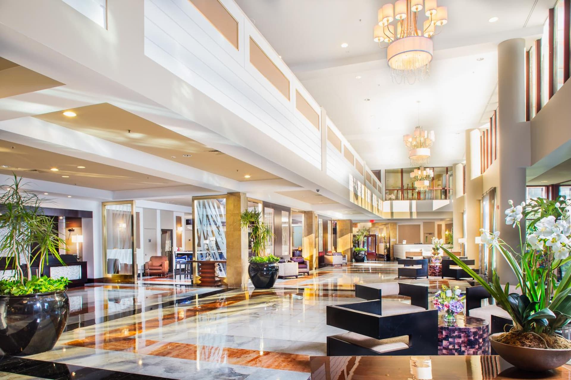 DoubleTree by Hilton New York-LaGuardia gallery photo in Queens, NY — image 45