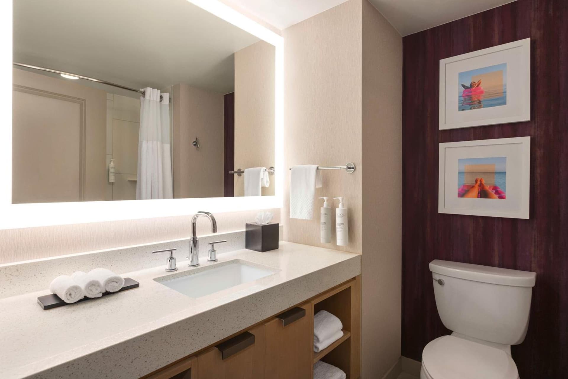 Embassy Suites by Hilton Tampa Downtown Convention Center gallery photo in Tampa, FL — image 27