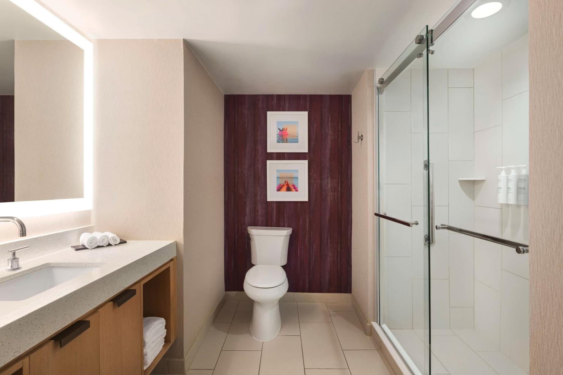 Embassy Suites by Hilton Tampa Downtown Convention Center gallery photo in Tampa, FL — image 4