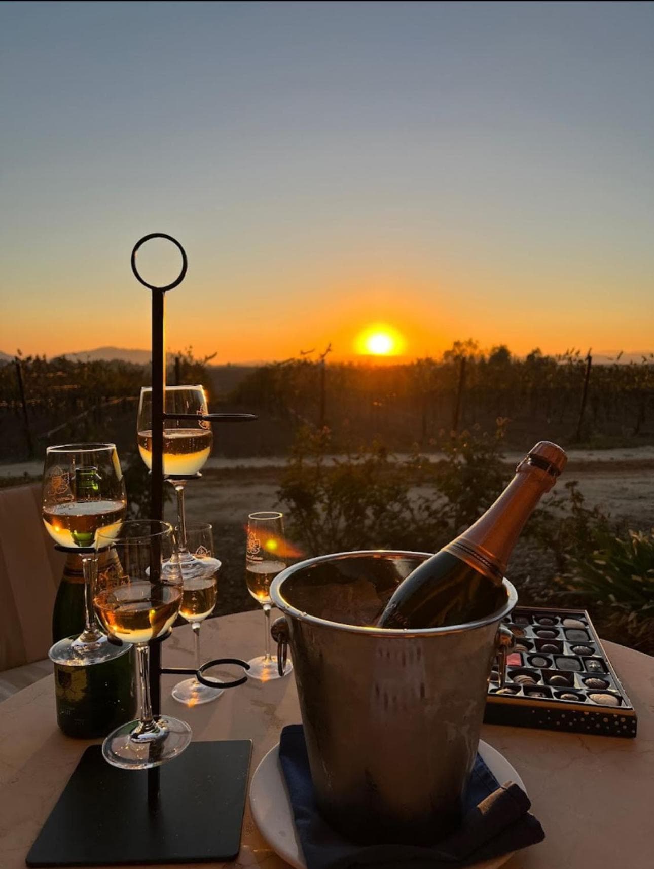 Balloons and Wine gallery photo in Murrieta, CA — image 78