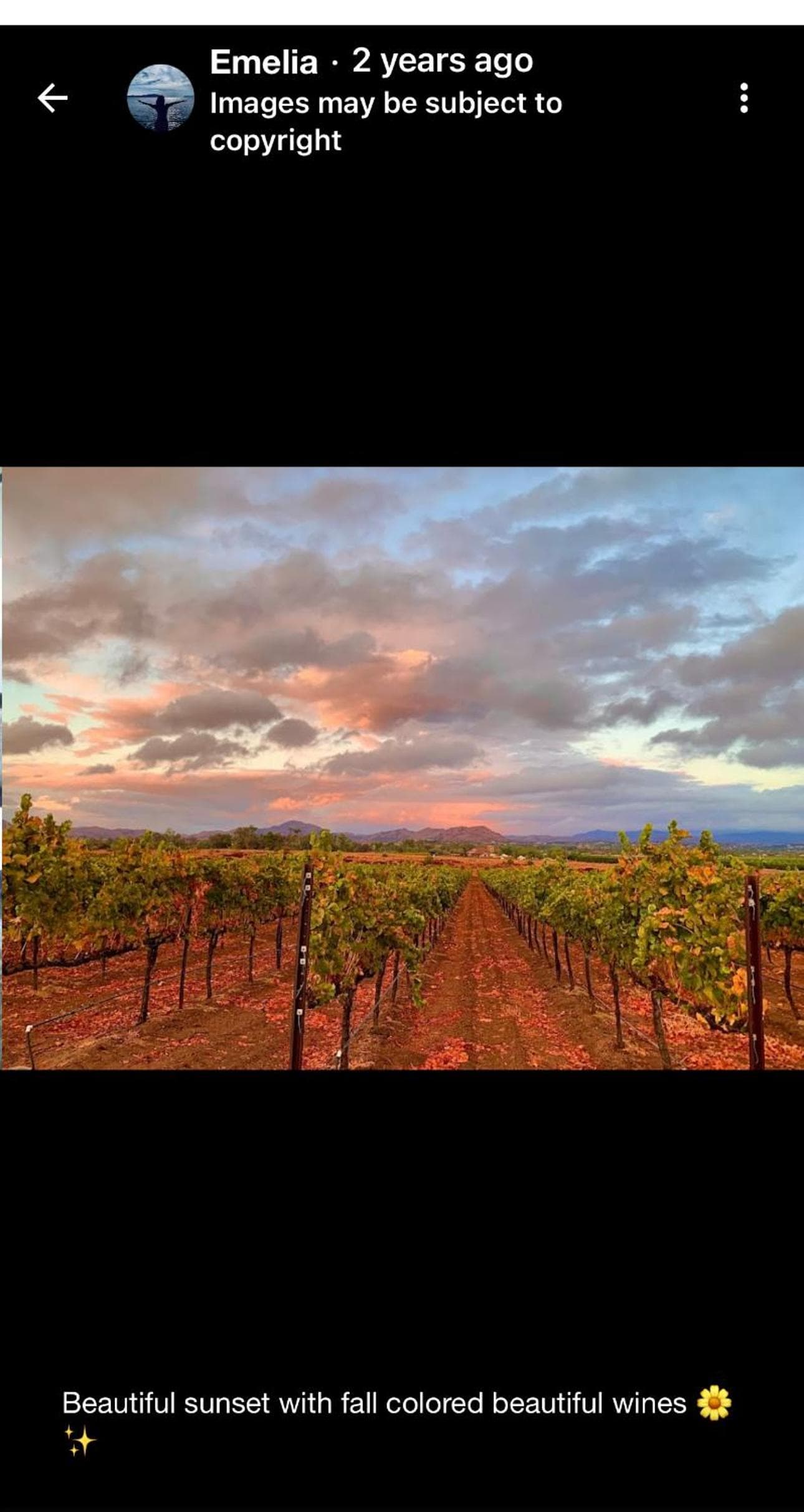 Balloons and Wine gallery photo in Murrieta, CA — image 72