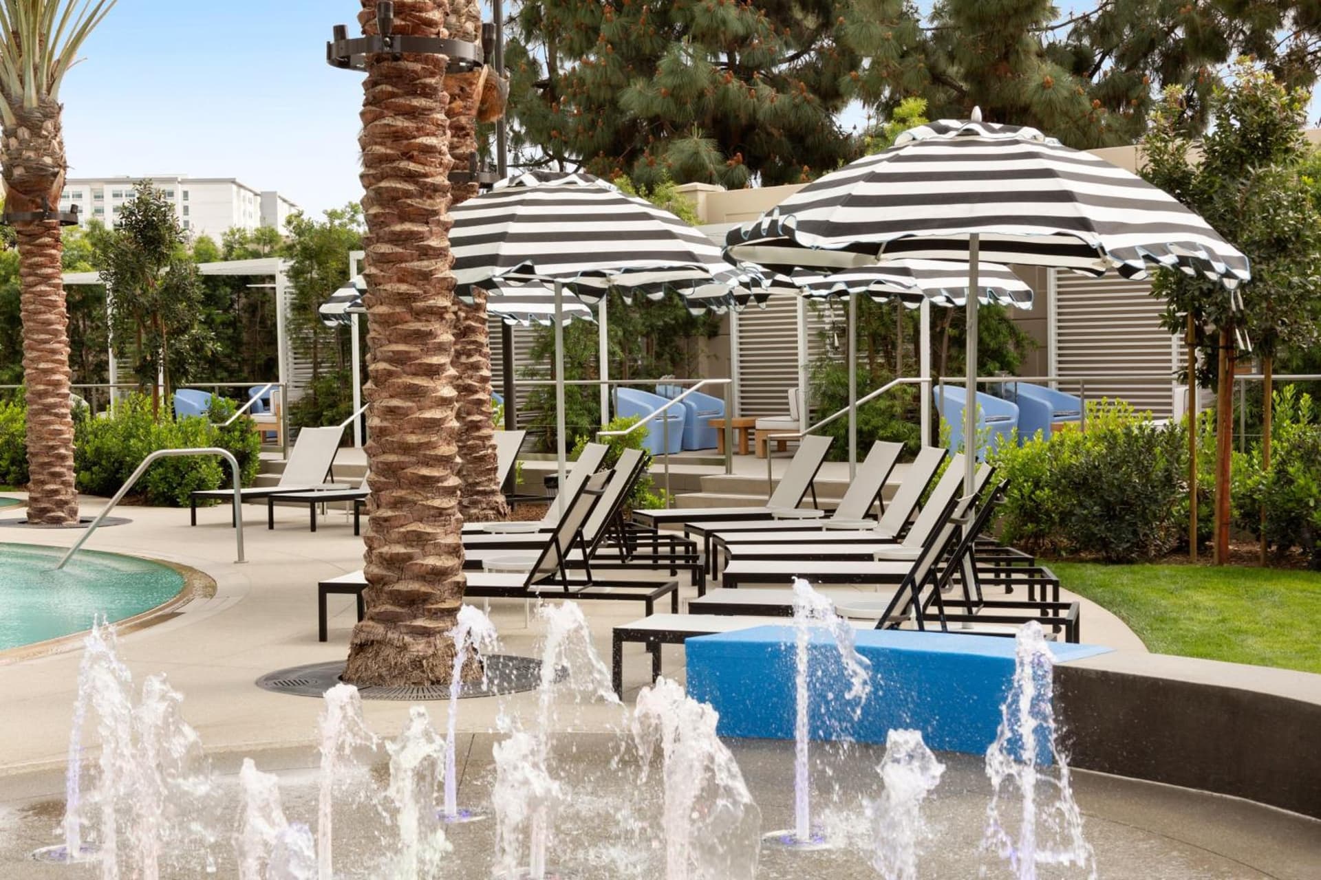 The Viv Hotel, Anaheim, a Tribute Portfolio Hotel gallery photo in Anaheim, CA — image 4