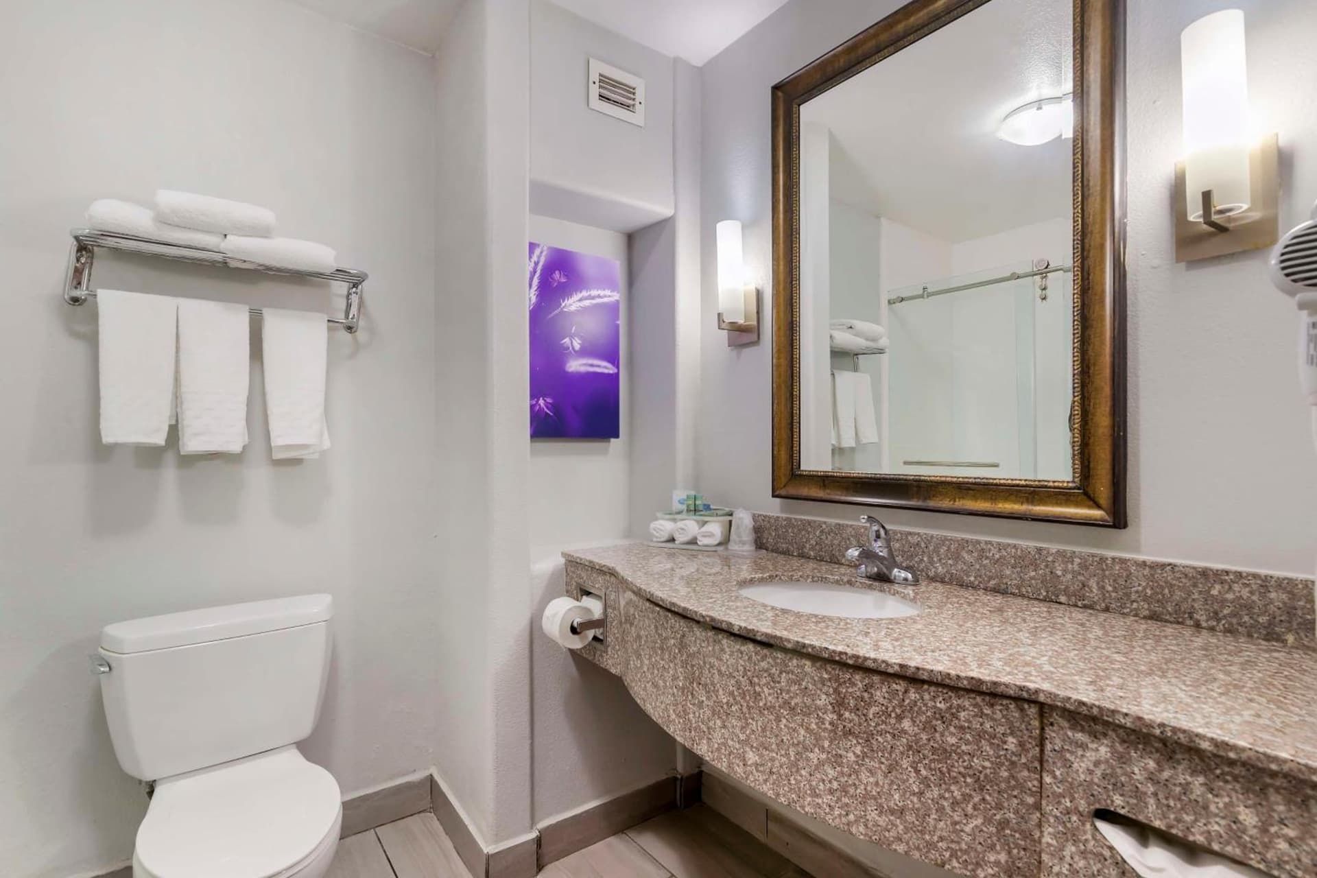 Best Western Medical Center North Inn & Suites Near Six Flags gallery photo in San Antonio, TX — image 21