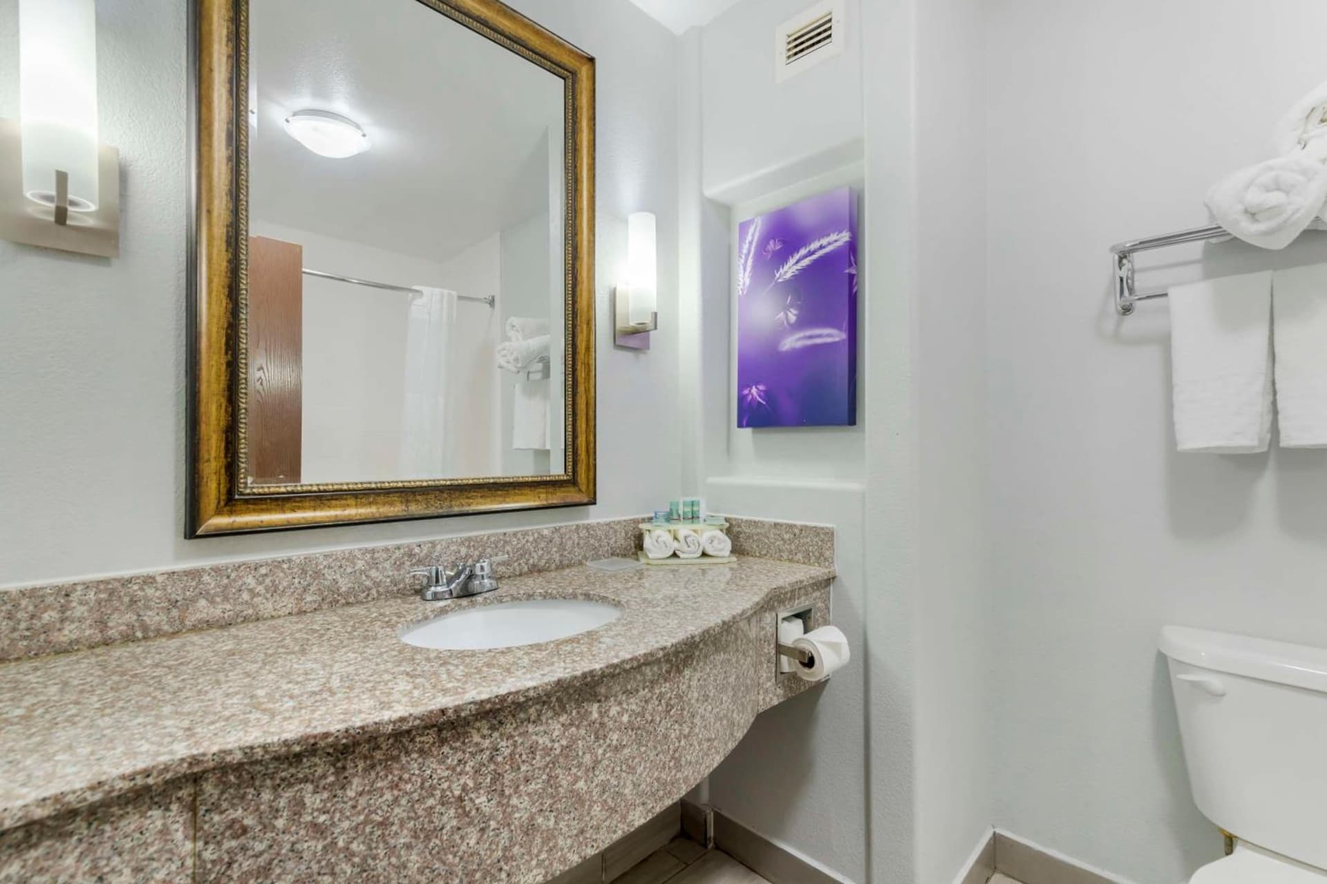 Best Western Medical Center North Inn & Suites Near Six Flags gallery photo in San Antonio, TX — image 28