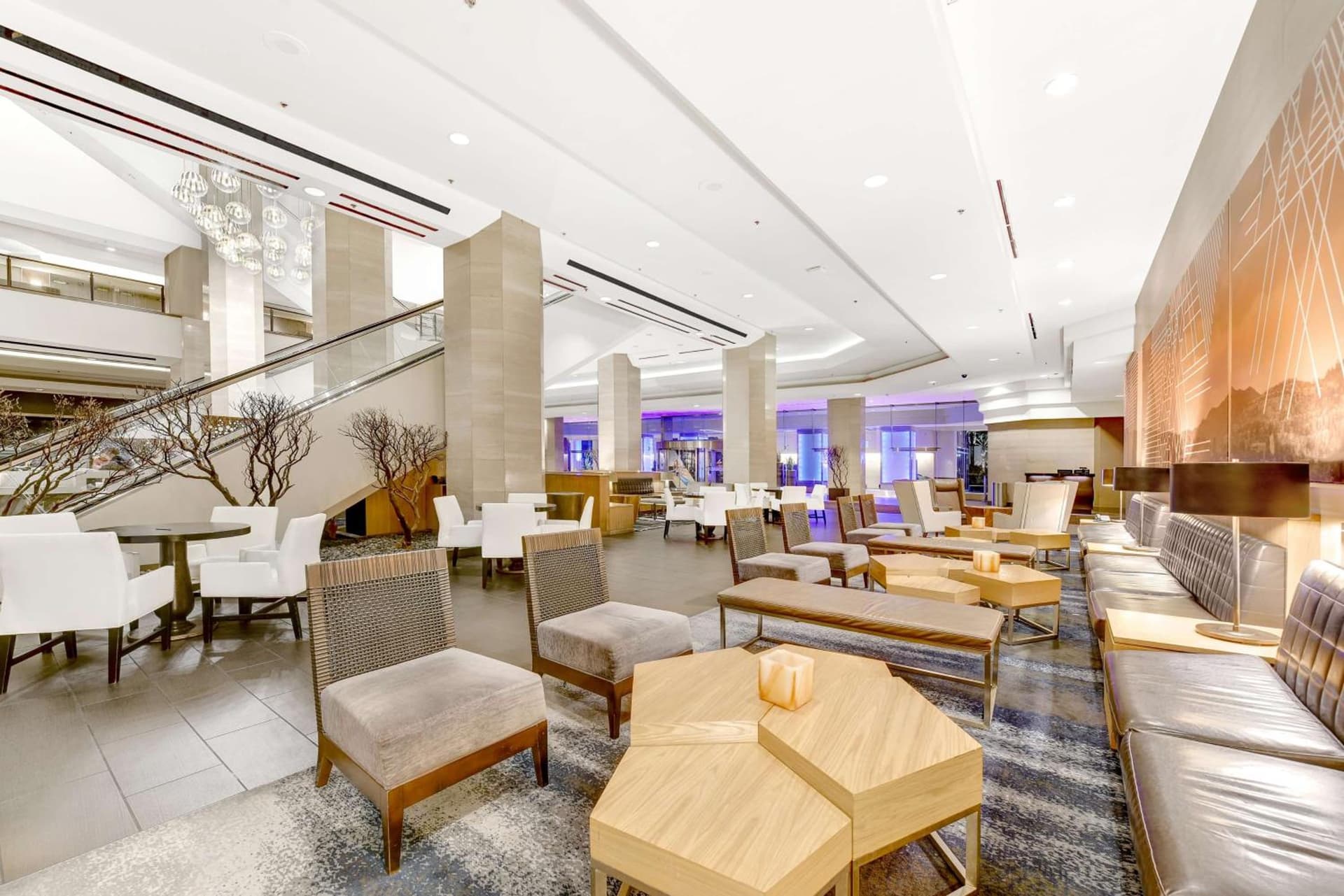 Hilton Anaheim gallery photo in Anaheim, CA — image 39