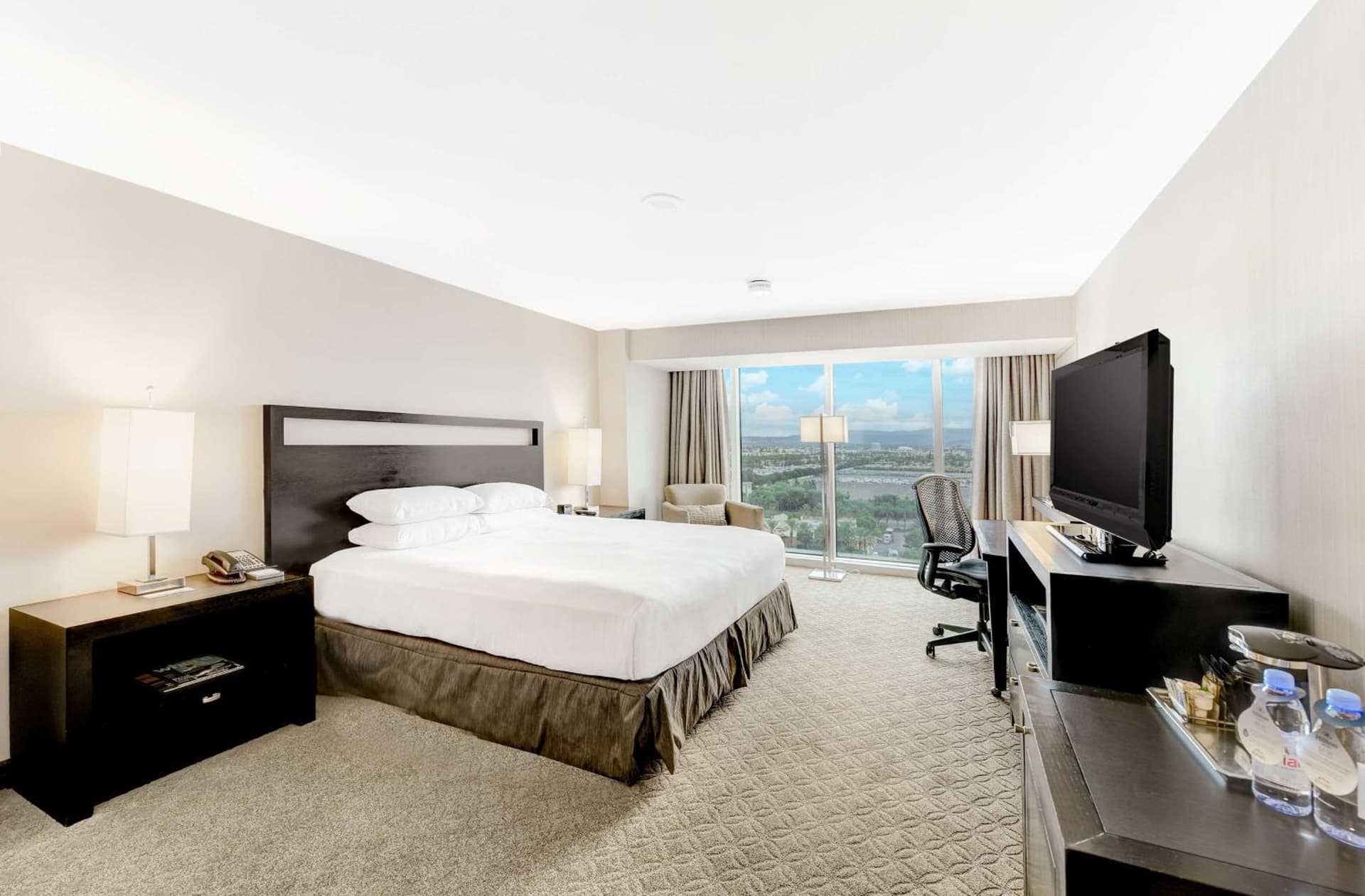 Hilton Anaheim gallery photo in Anaheim, CA — image 80