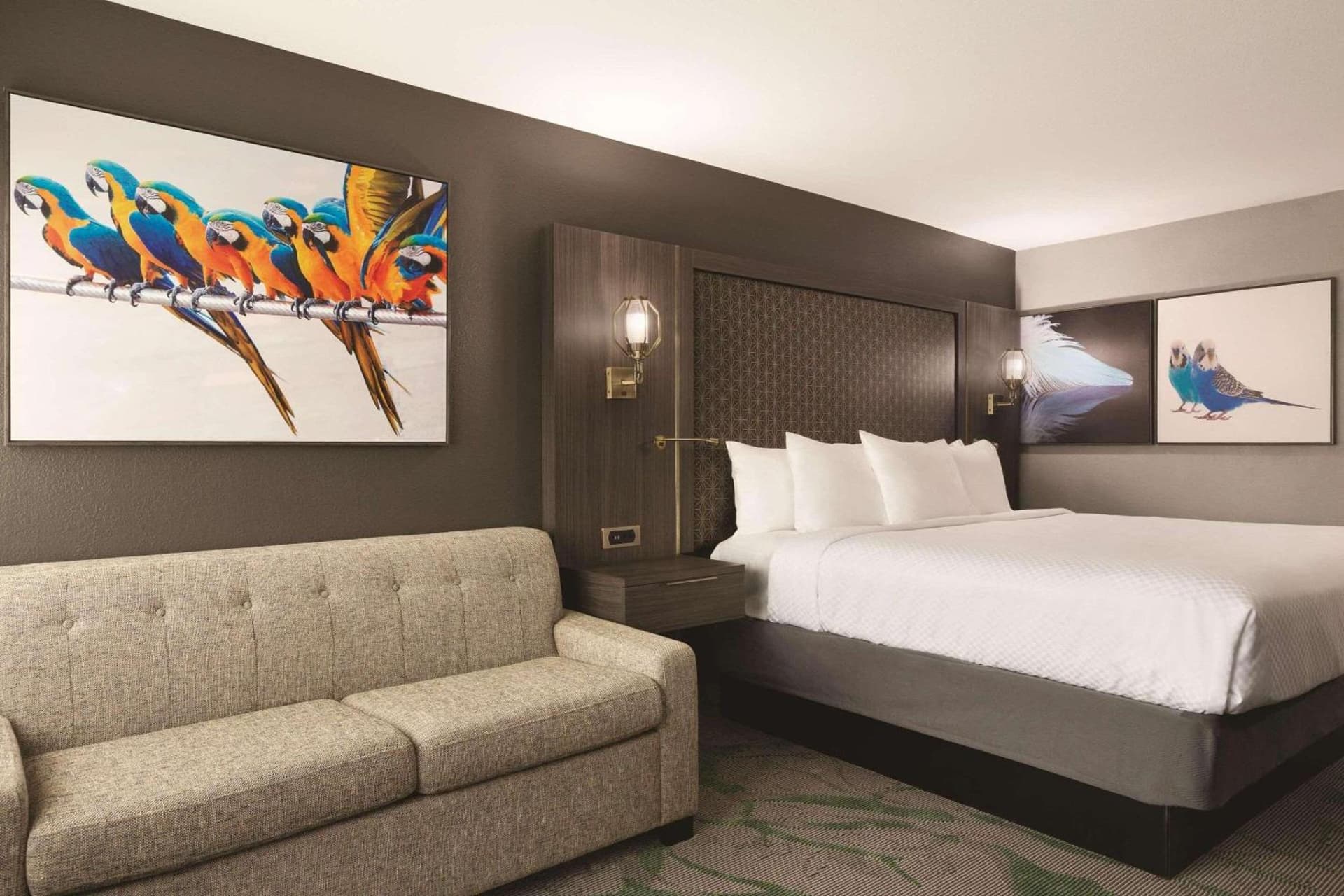 Verta Hotel McAllen gallery photo in McAllen, TX — image 4