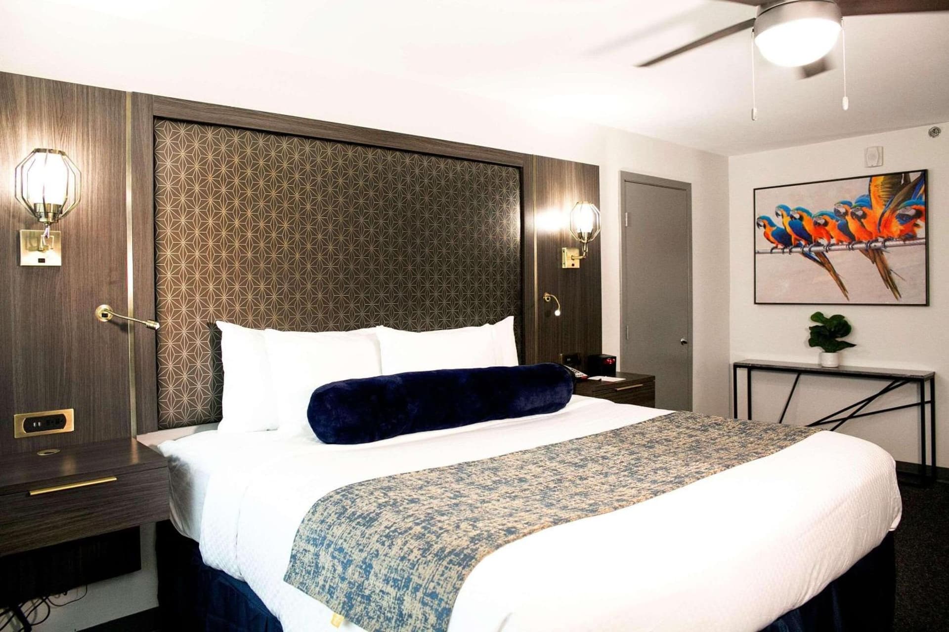 Verta Hotel McAllen gallery photo in McAllen, TX — image 35