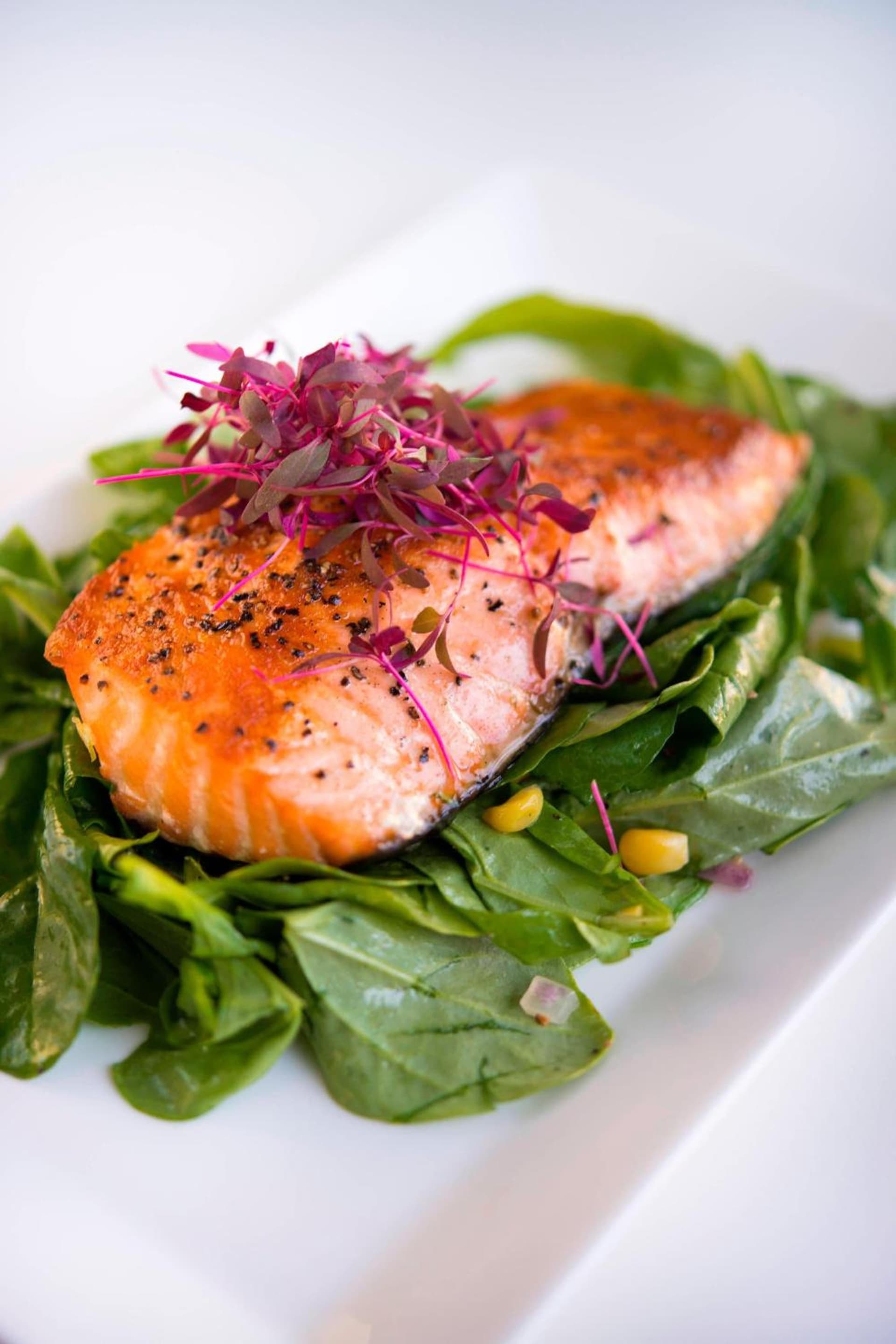 Irvine Marriott gallery photo in Irvine, CA — image 61