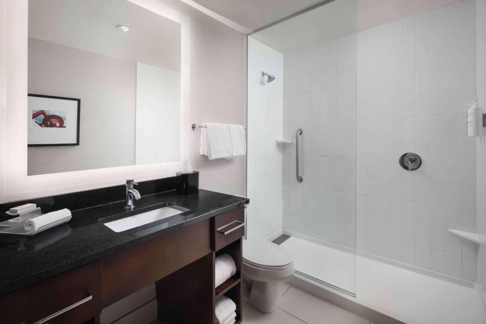 Homewood Suites- Denver Downtown Convention Center gallery photo in Denver, CO — image 7