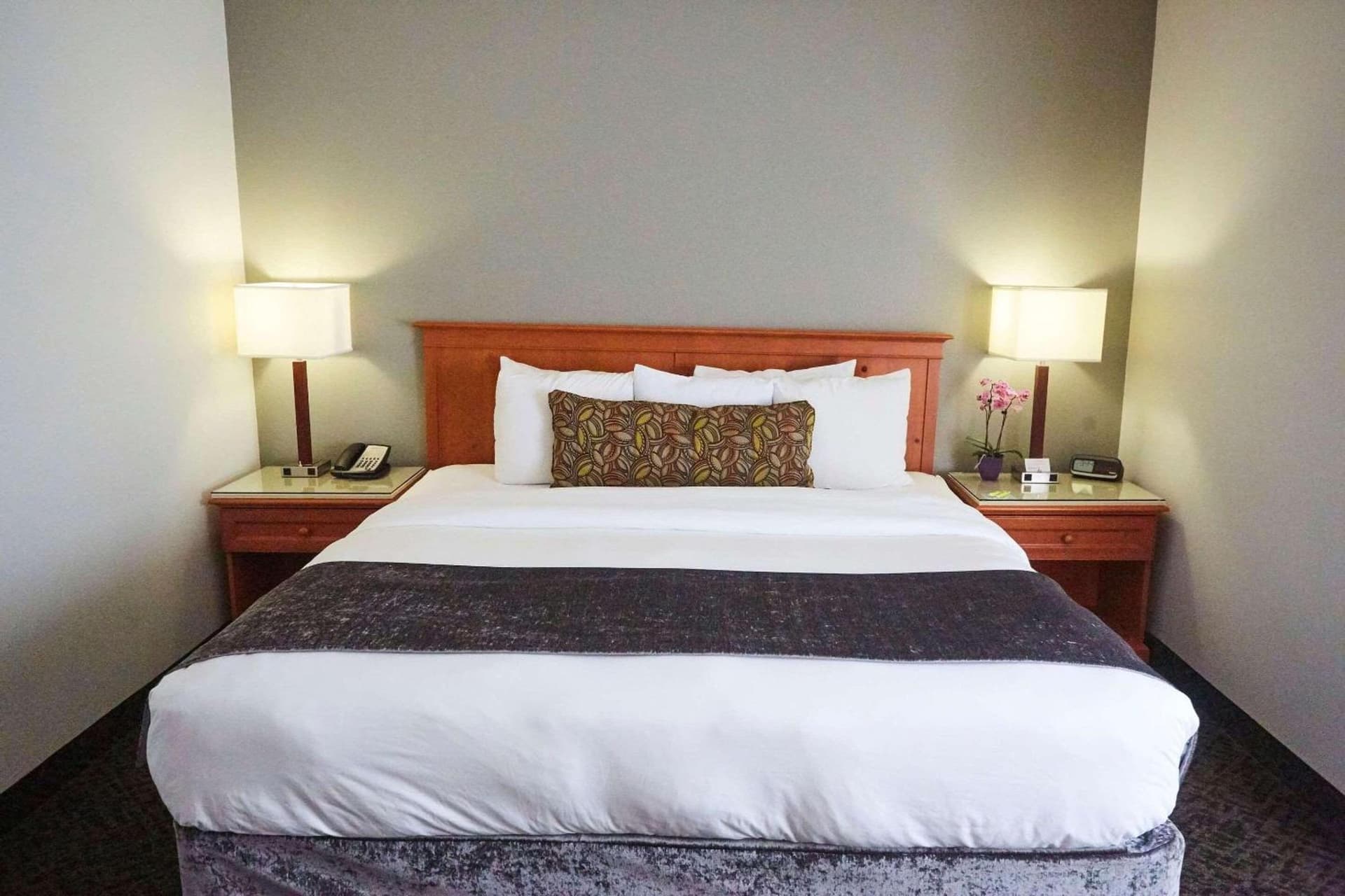 Radisson Hotel Portland Airport gallery photo in Portland, OR — image 20