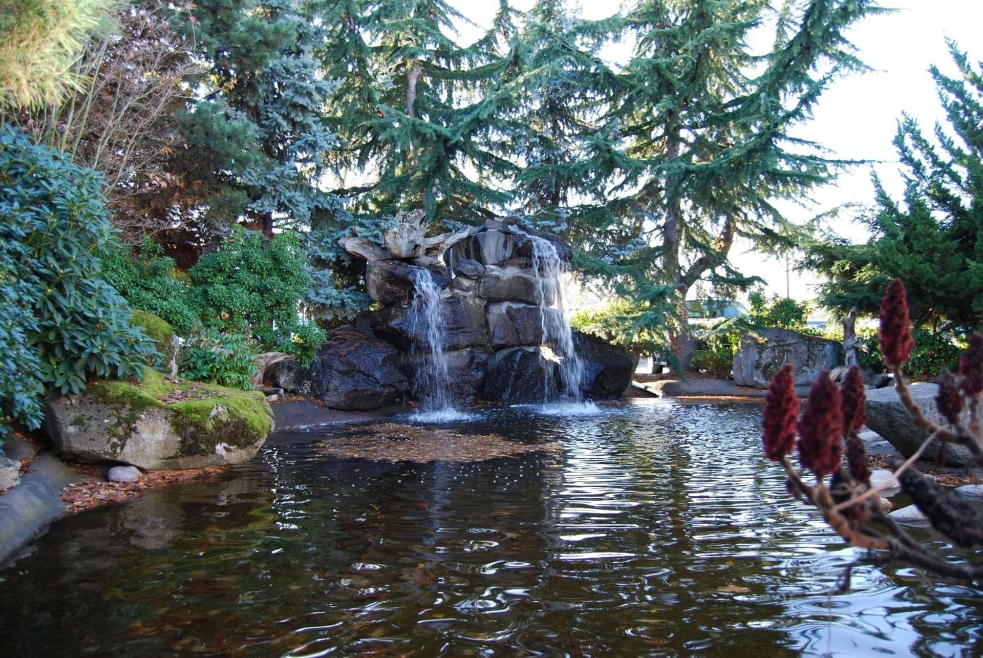 Radisson Hotel Portland Airport gallery photo in Portland, OR — image 11