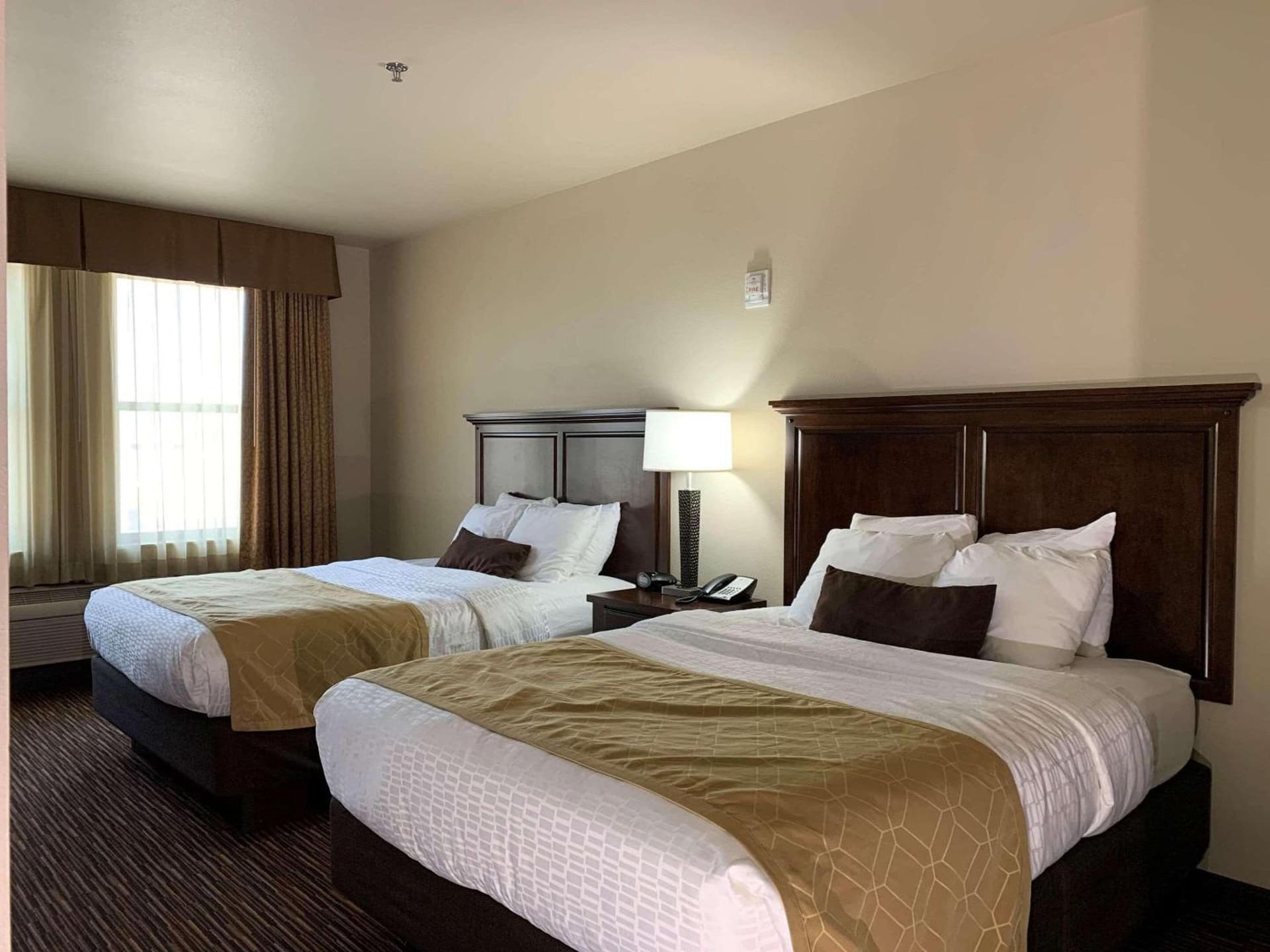 Radisson Hotel River Falls gallery photo in River Falls, WI — image 23