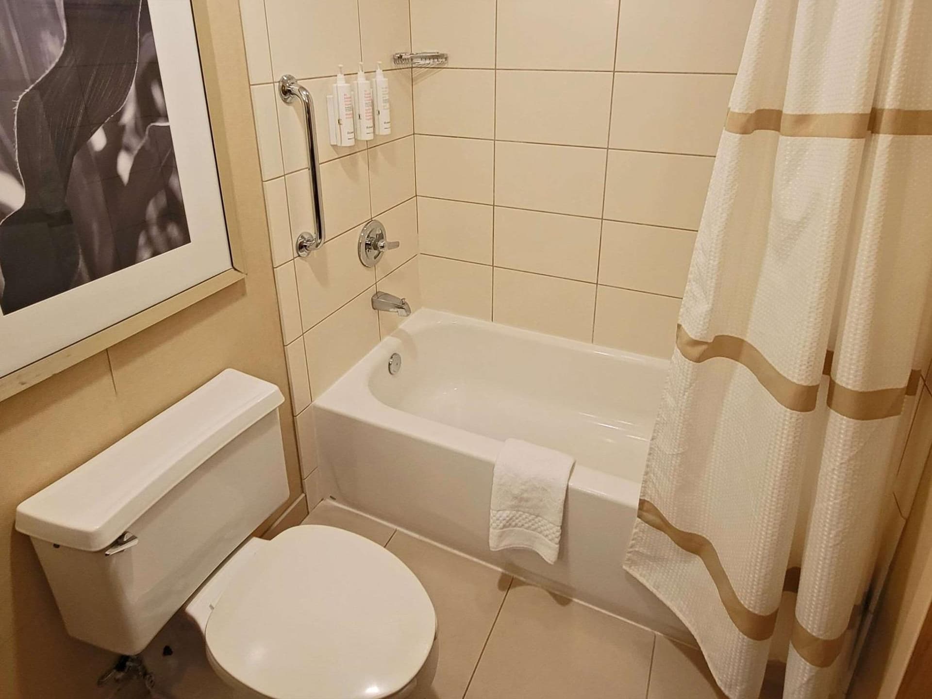 Radisson Hotel Cedar Rapids gallery photo in Cedar Rapids, IA — image 48