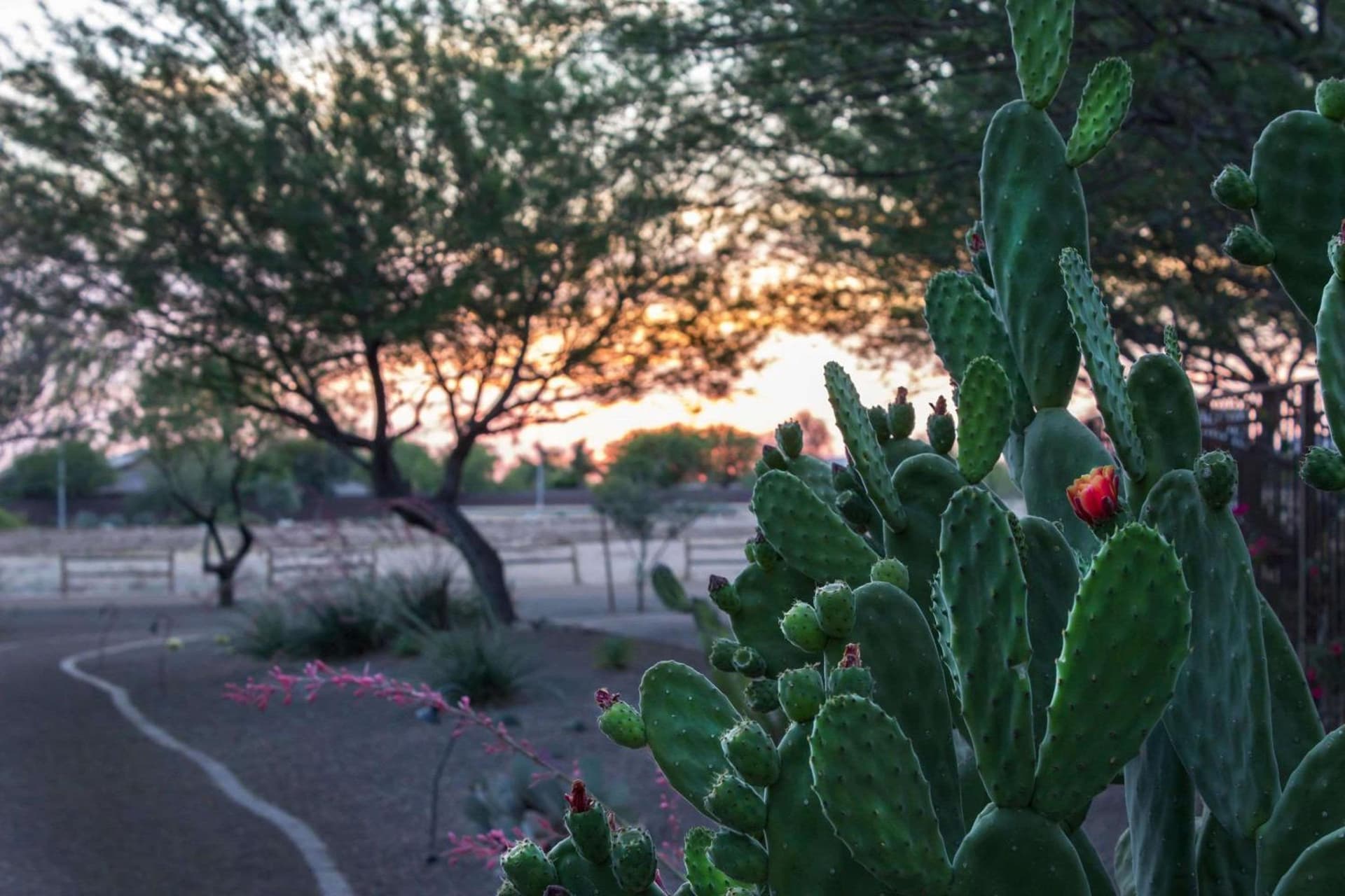 Bluegreen Vacations Cibola Vista Resort and Spa, an Ascend Collection Resort gallery photo in Peoria, AZ — image 54