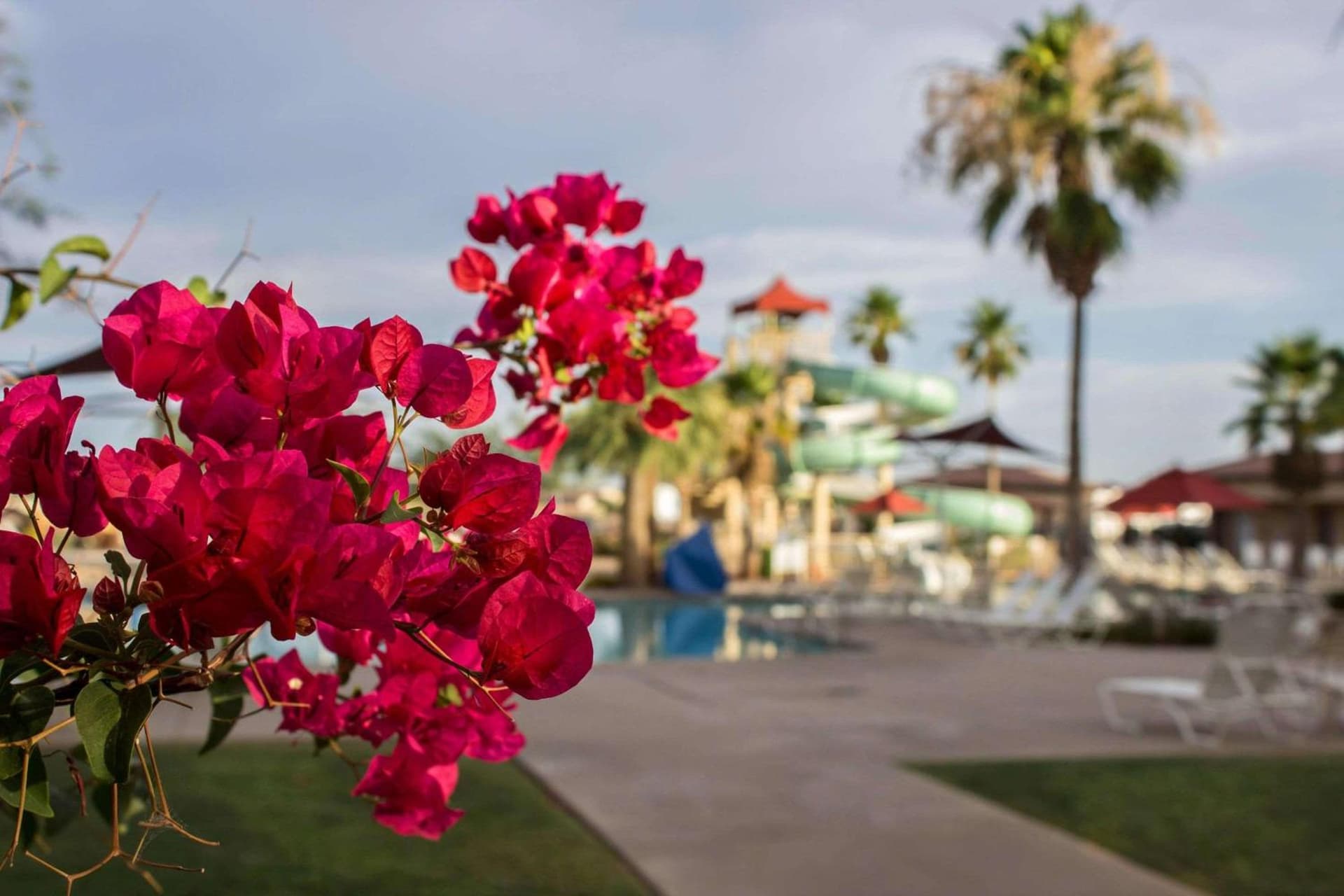 Bluegreen Vacations Cibola Vista Resort and Spa, an Ascend Collection Resort gallery photo in Peoria, AZ — image 51