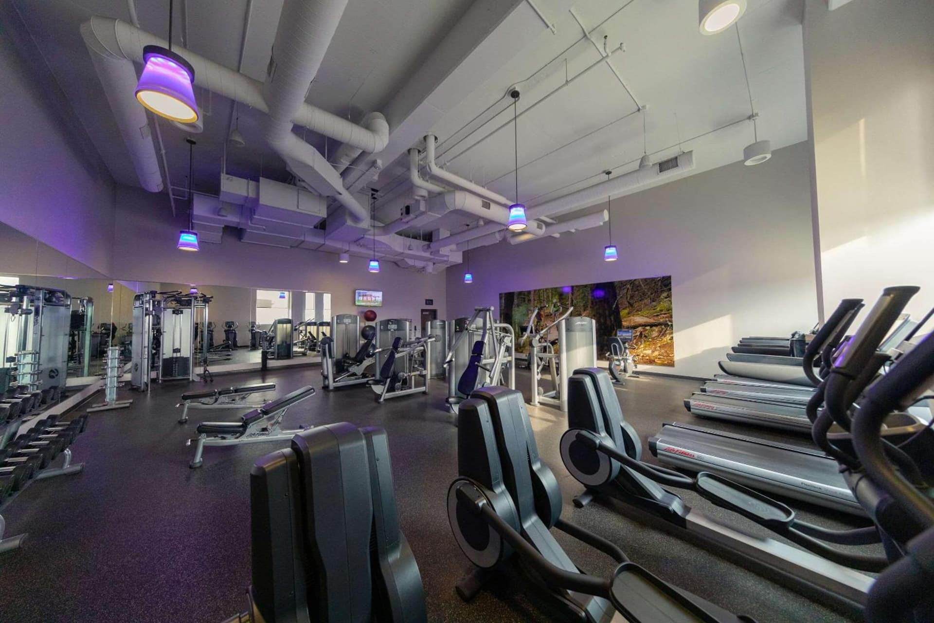 Radisson Blu Mall of America gallery photo in Bloomington, MN — image 131