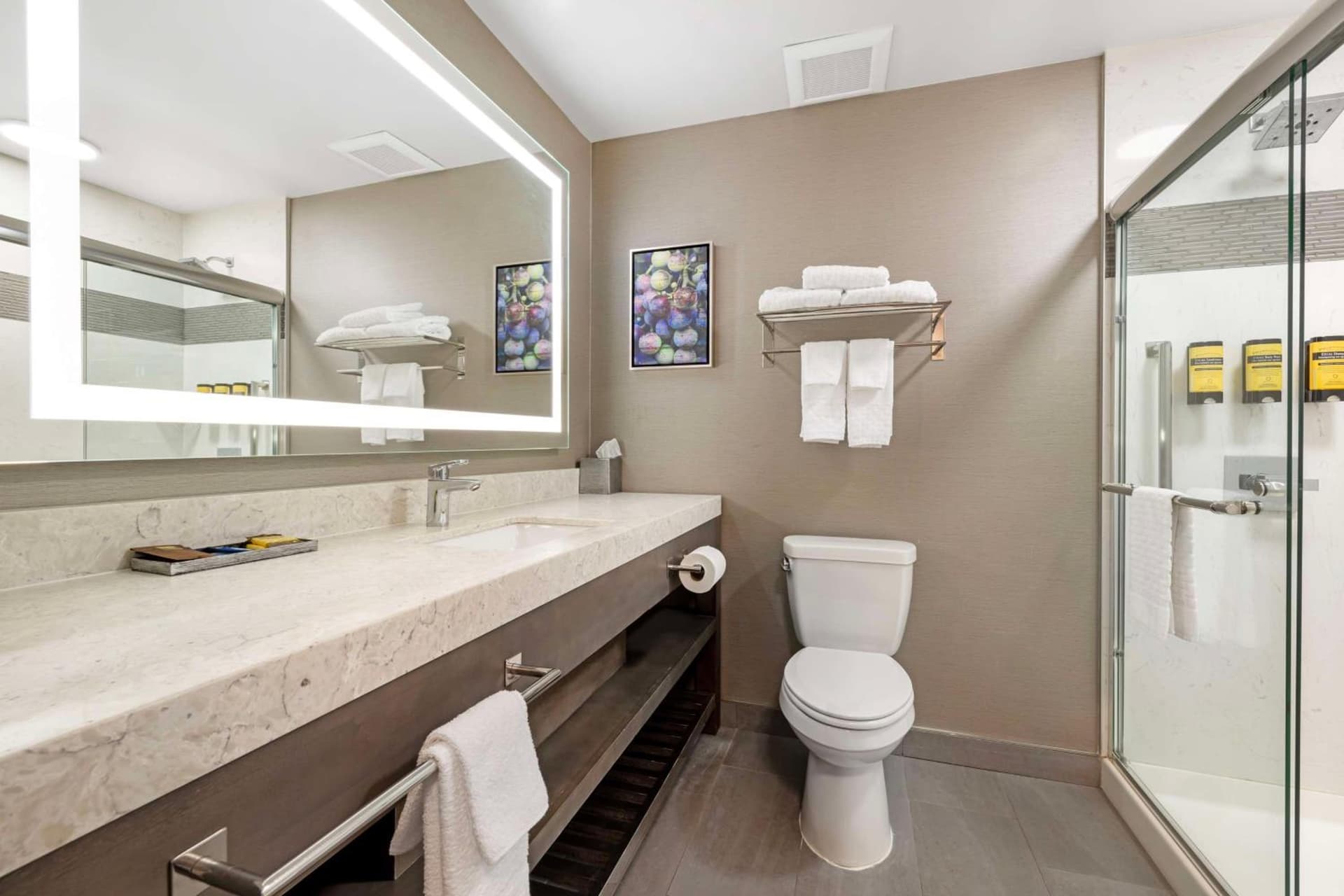 Best Western Plus Temecula Wine Country Hotel & Suites gallery photo in Temecula, CA — image 28