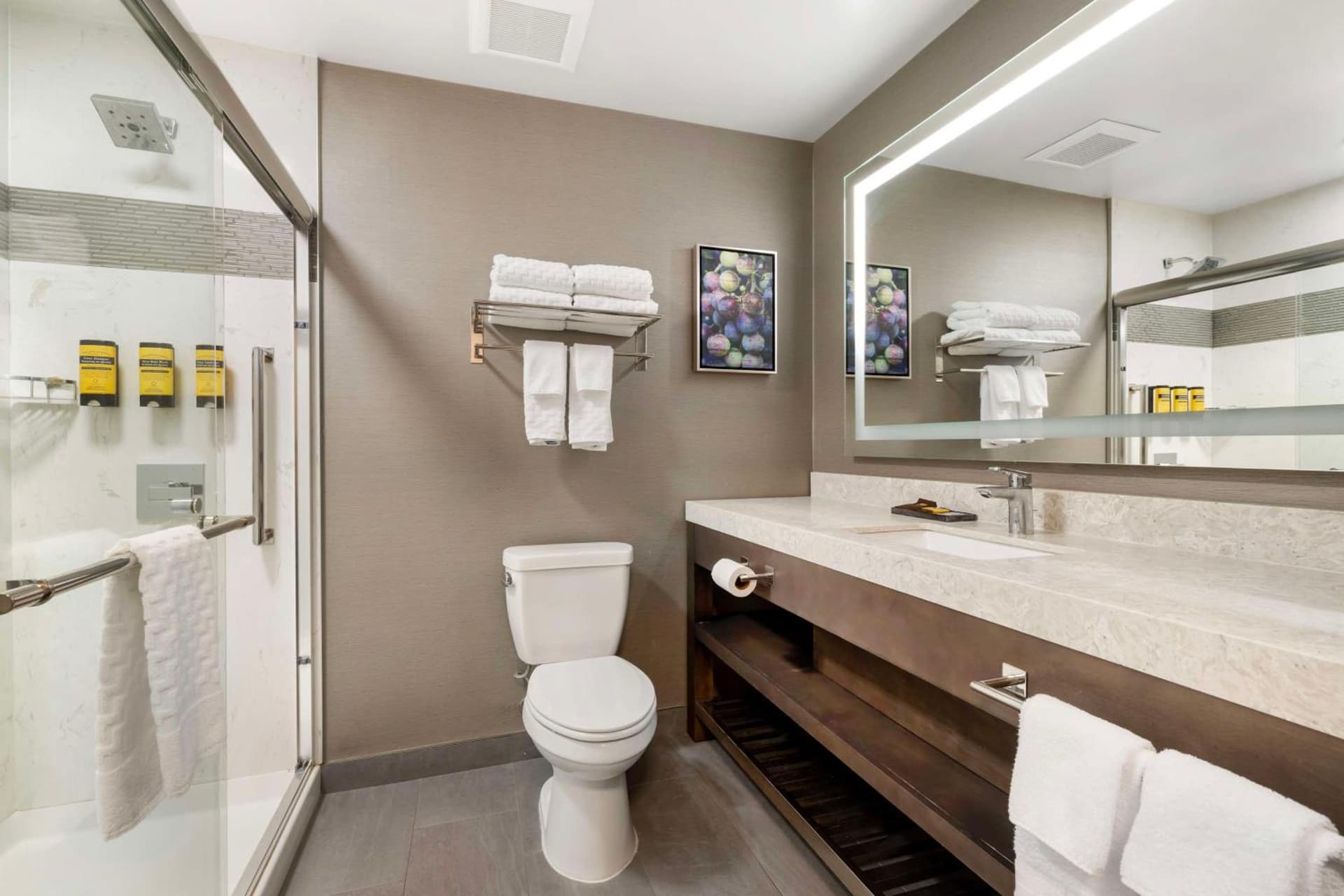 Best Western Plus Temecula Wine Country Hotel & Suites gallery photo in Temecula, CA — image 14