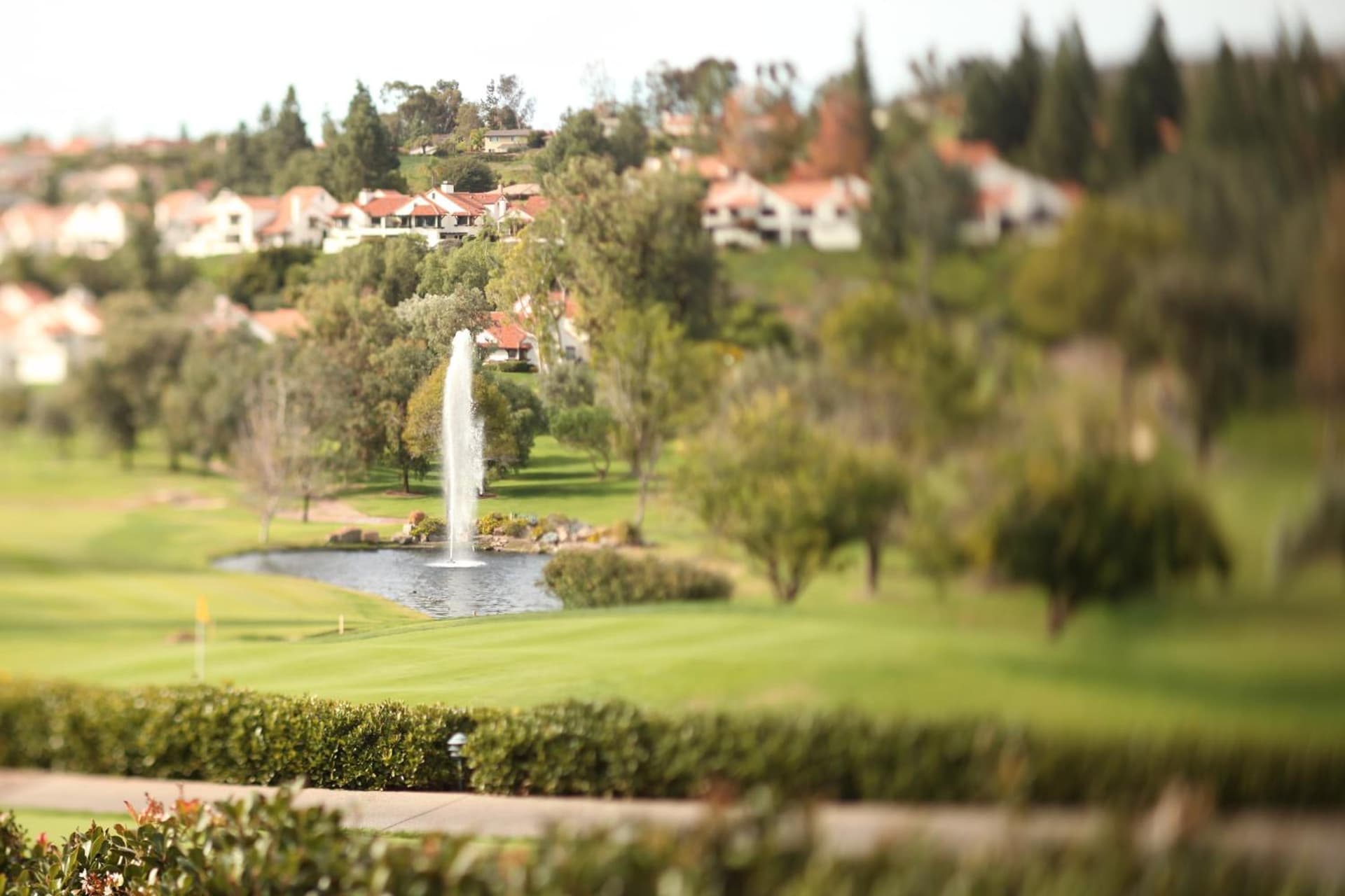 Rancho Bernardo Inn gallery photo in Rancho Bernardo, CA — image 27