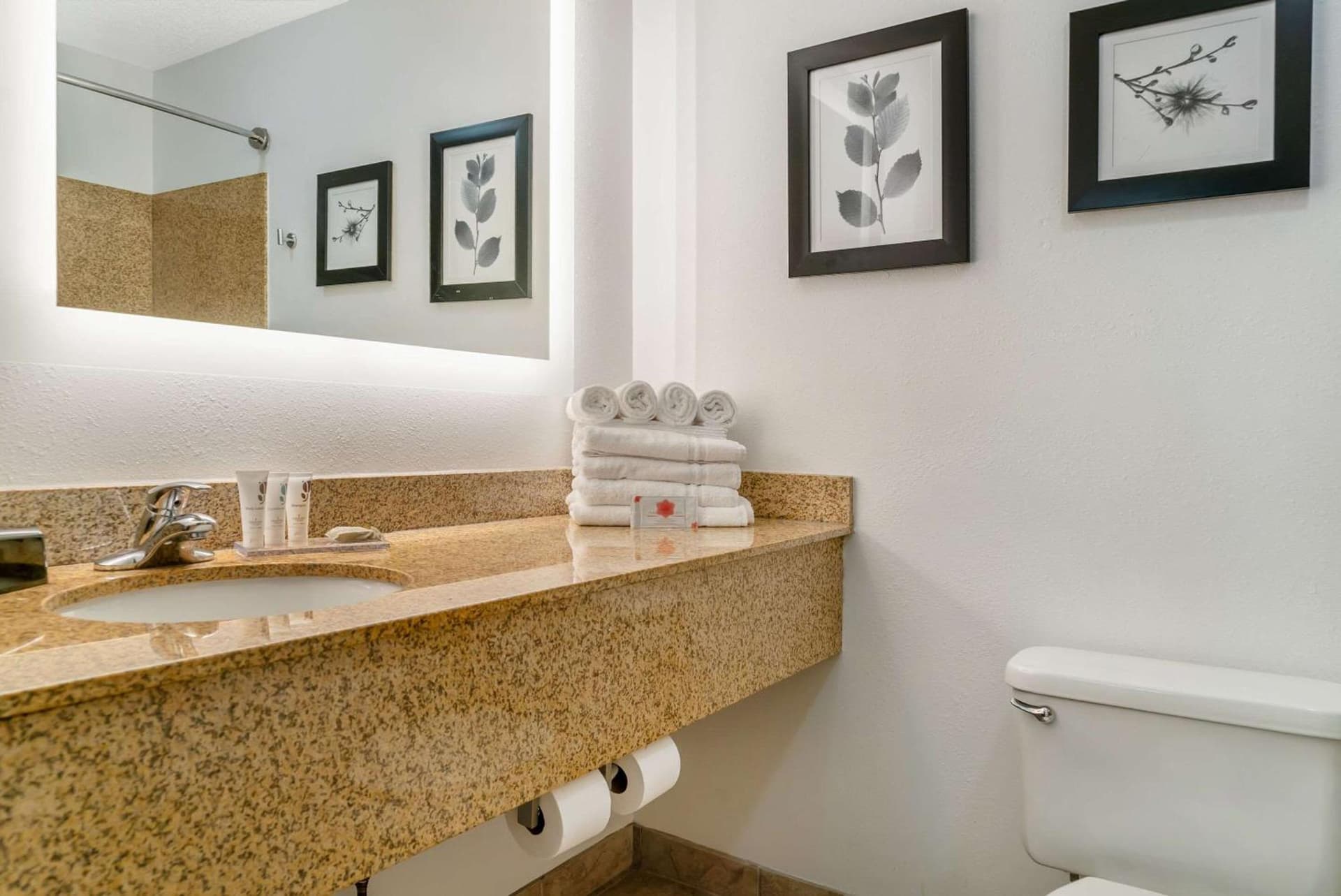 Country Inn & Suites by Radisson, Rossford - Toledo South gallery photo in Rossford, OH — image 22