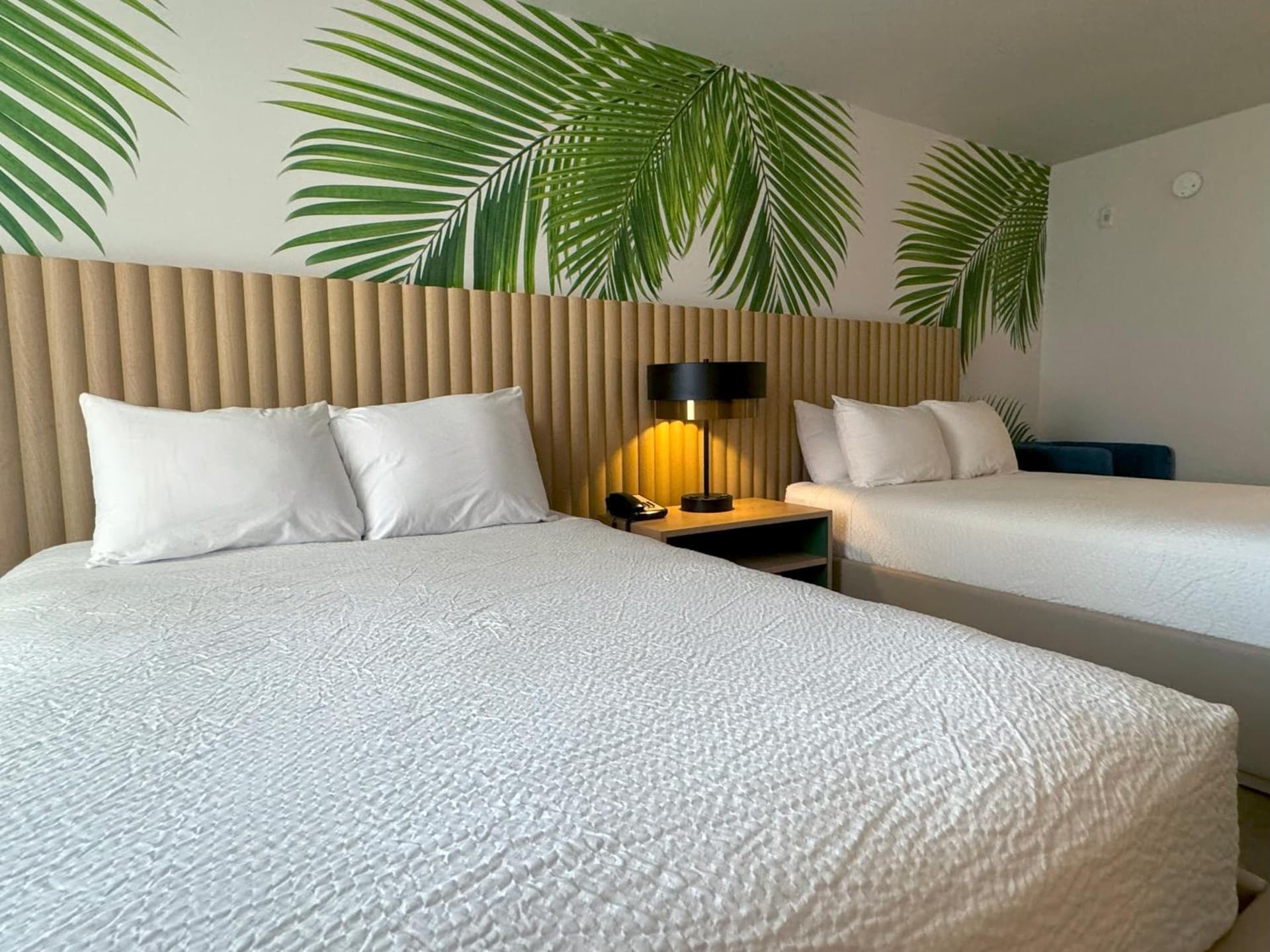 The Harrison Hotel Downtown Hollywood FL, an Ascend Collection Hotel gallery photo in Hollywood, FL — image 6