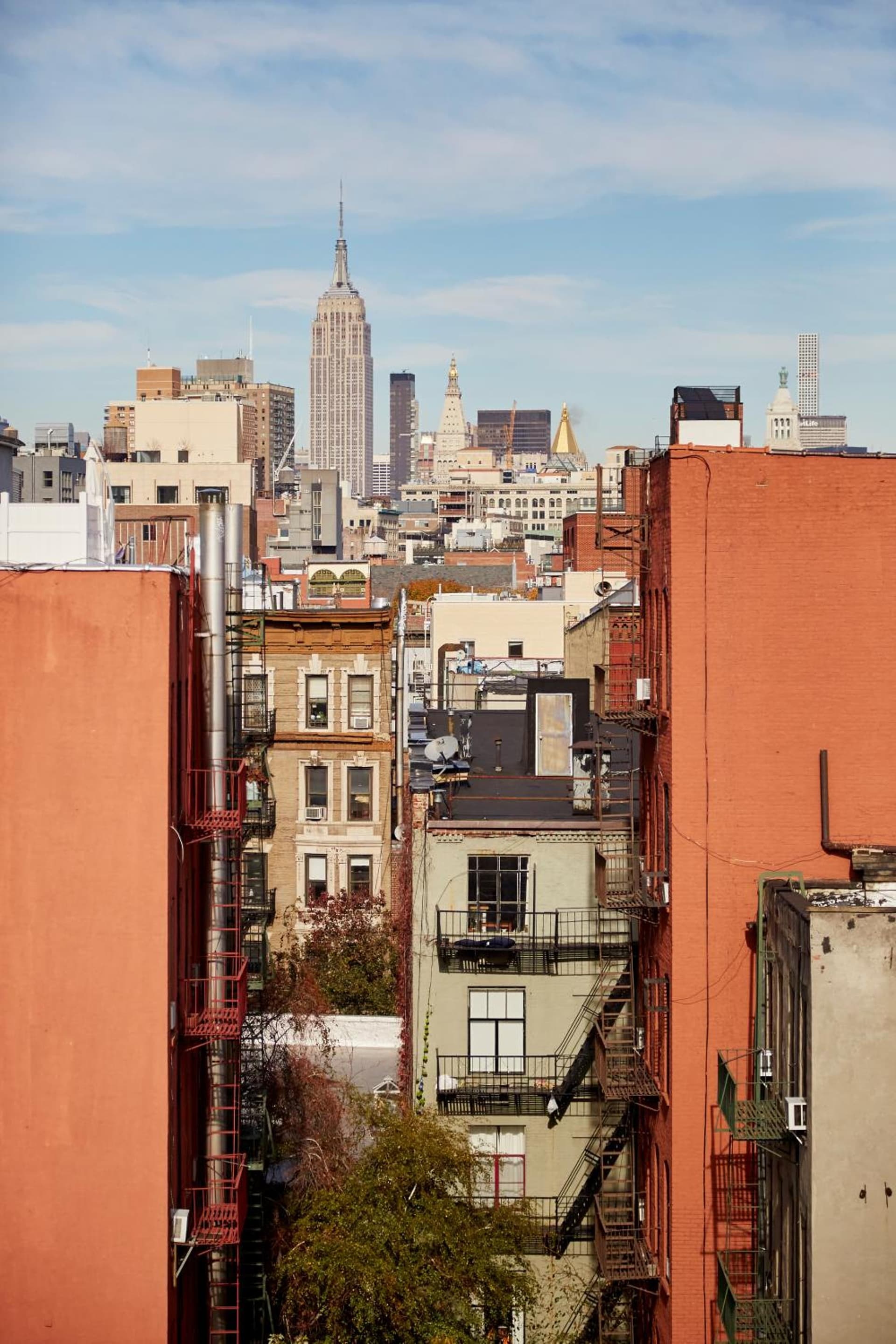NobleDEN Hotel gallery photo in New York, NY — image 11