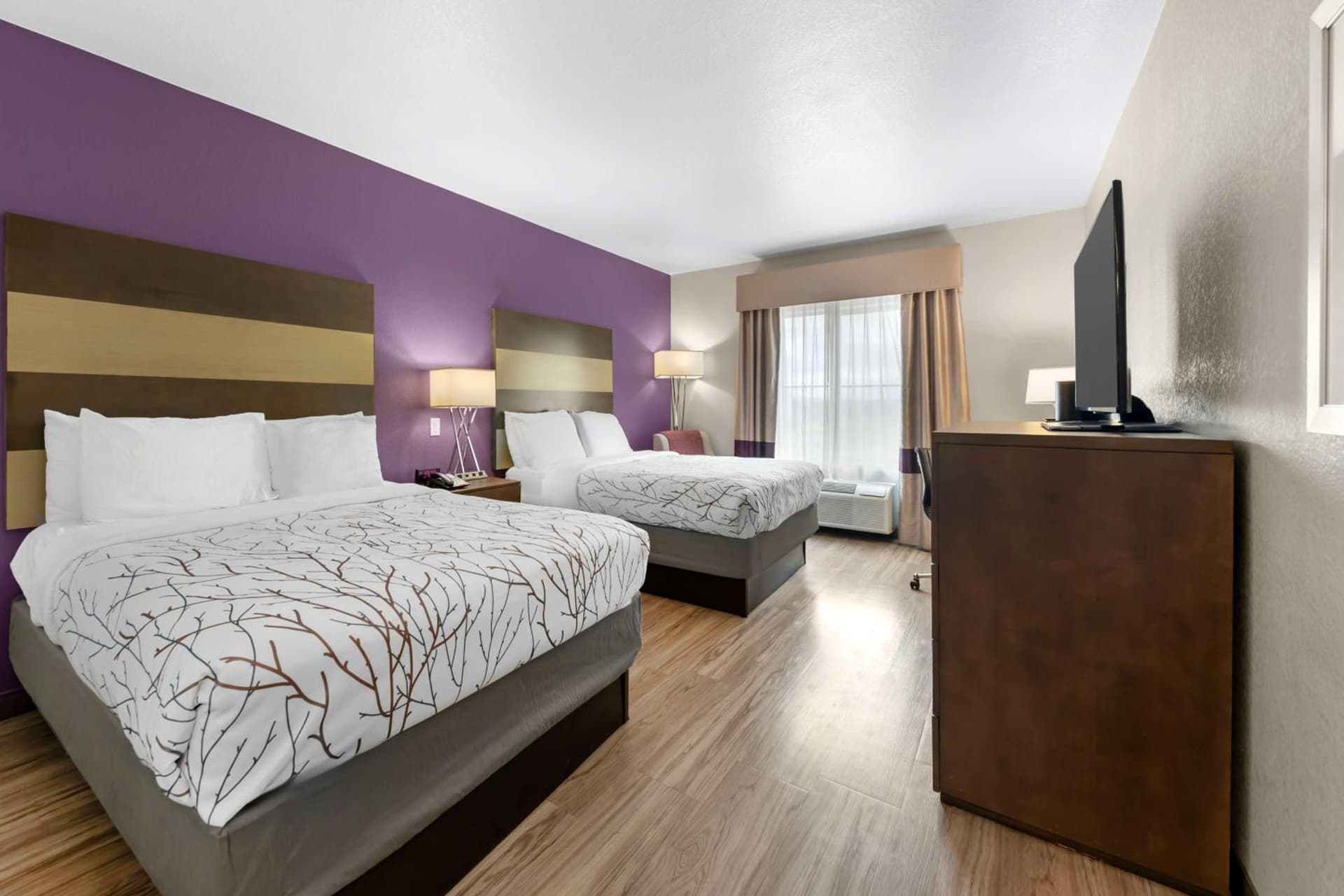 Best Western Plus Buda Austin Inn & Suites gallery photo in Buda, TX — image 33