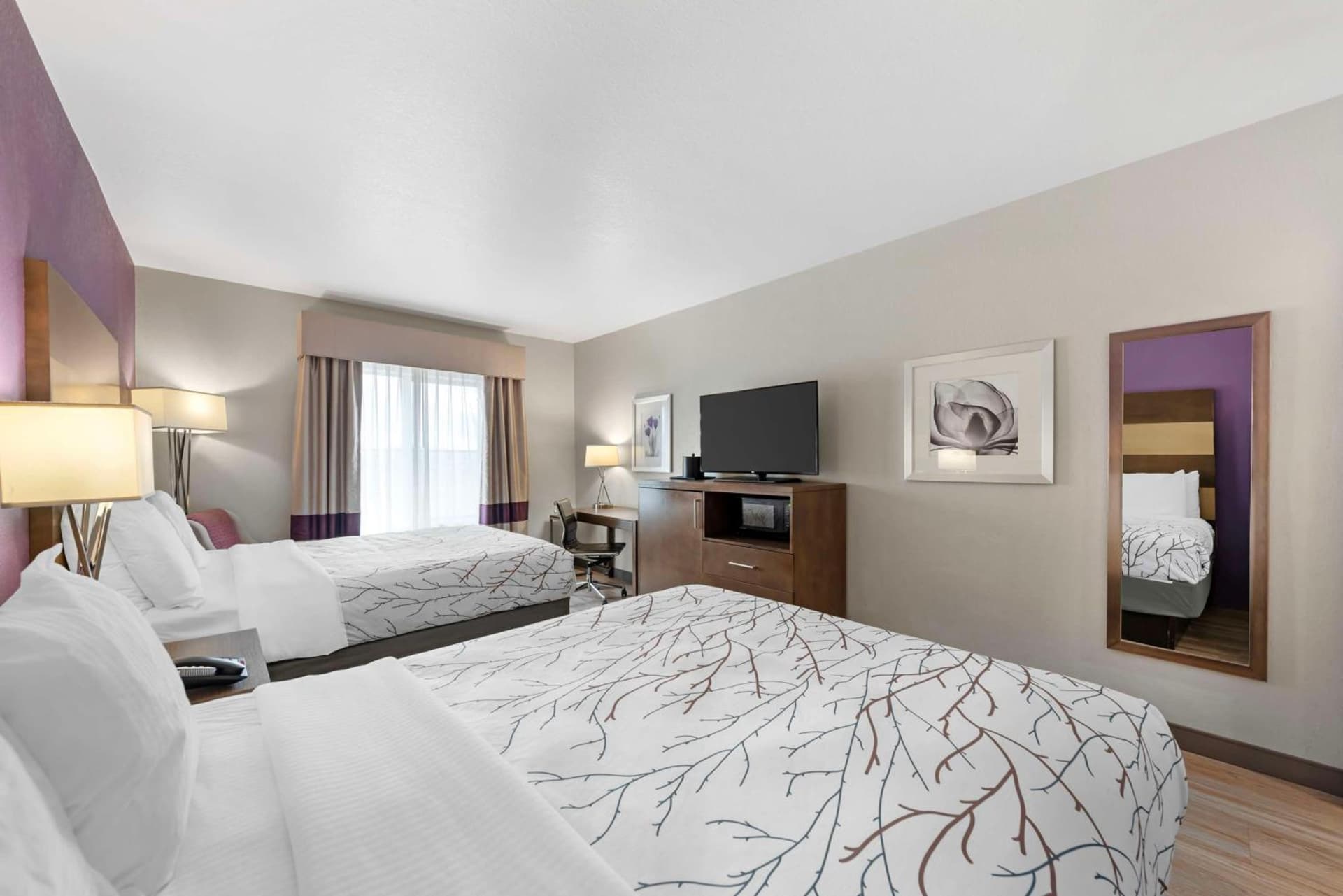 Best Western Plus Buda Austin Inn & Suites gallery photo in Buda, TX — image 25