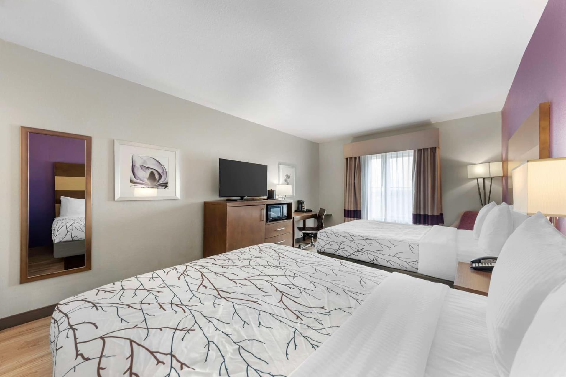 Best Western Plus Buda Austin Inn & Suites gallery photo in Buda, TX — image 28