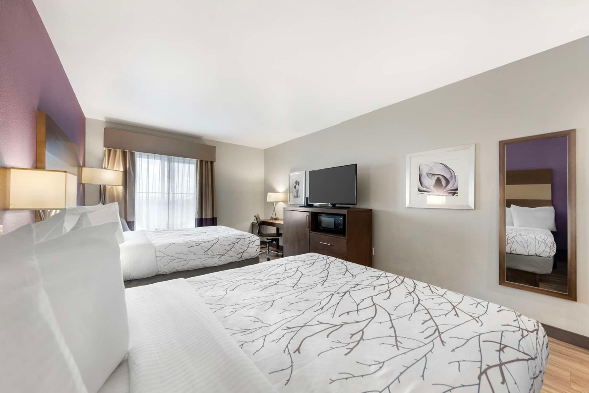 Best Western Plus Buda Austin Inn & Suites gallery photo in Buda, TX — image 5