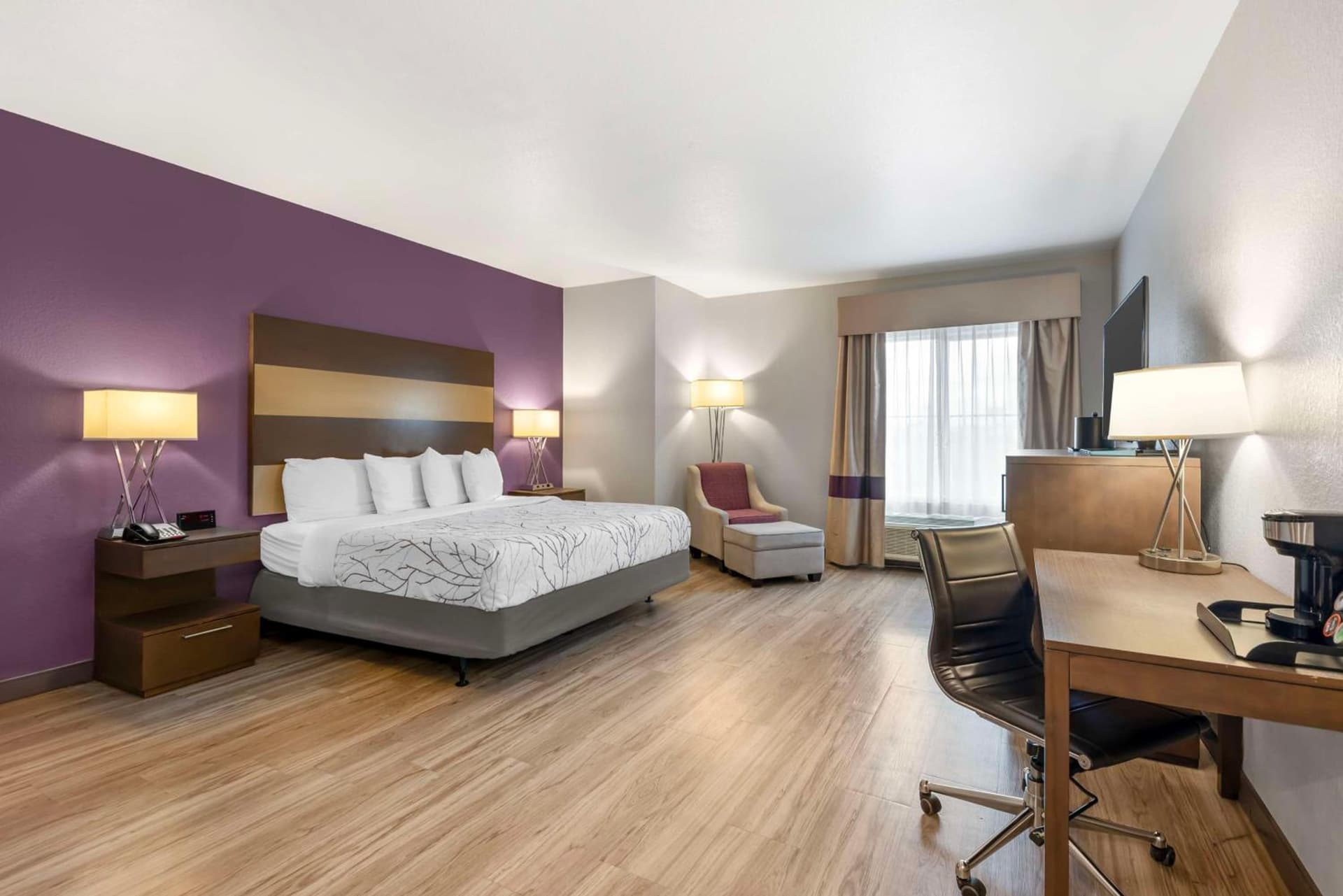 Best Western Plus Buda Austin Inn & Suites gallery photo in Buda, TX — image 10