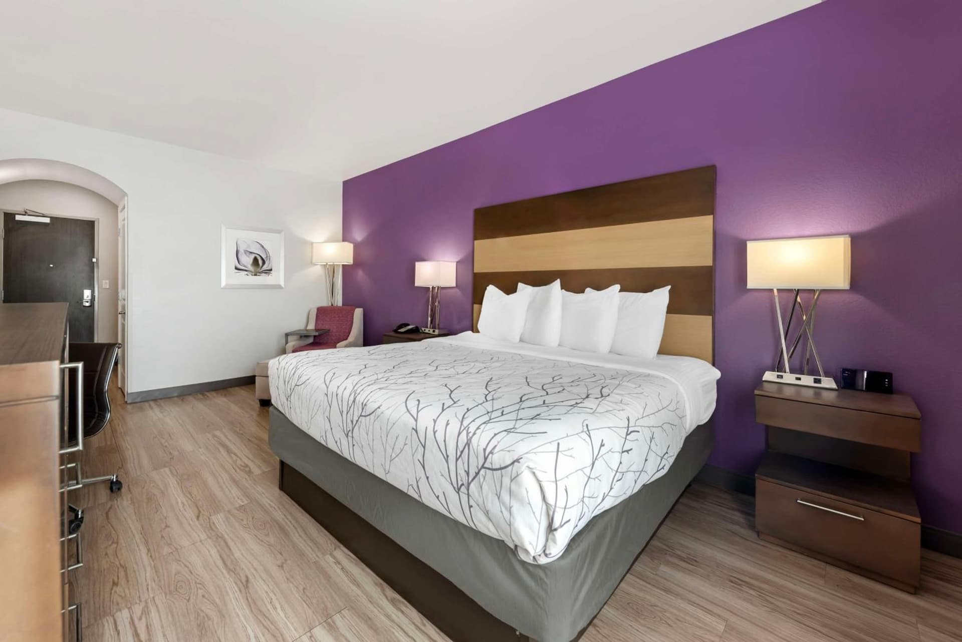 Best Western Plus Buda Austin Inn & Suites gallery photo in Buda, TX — image 35