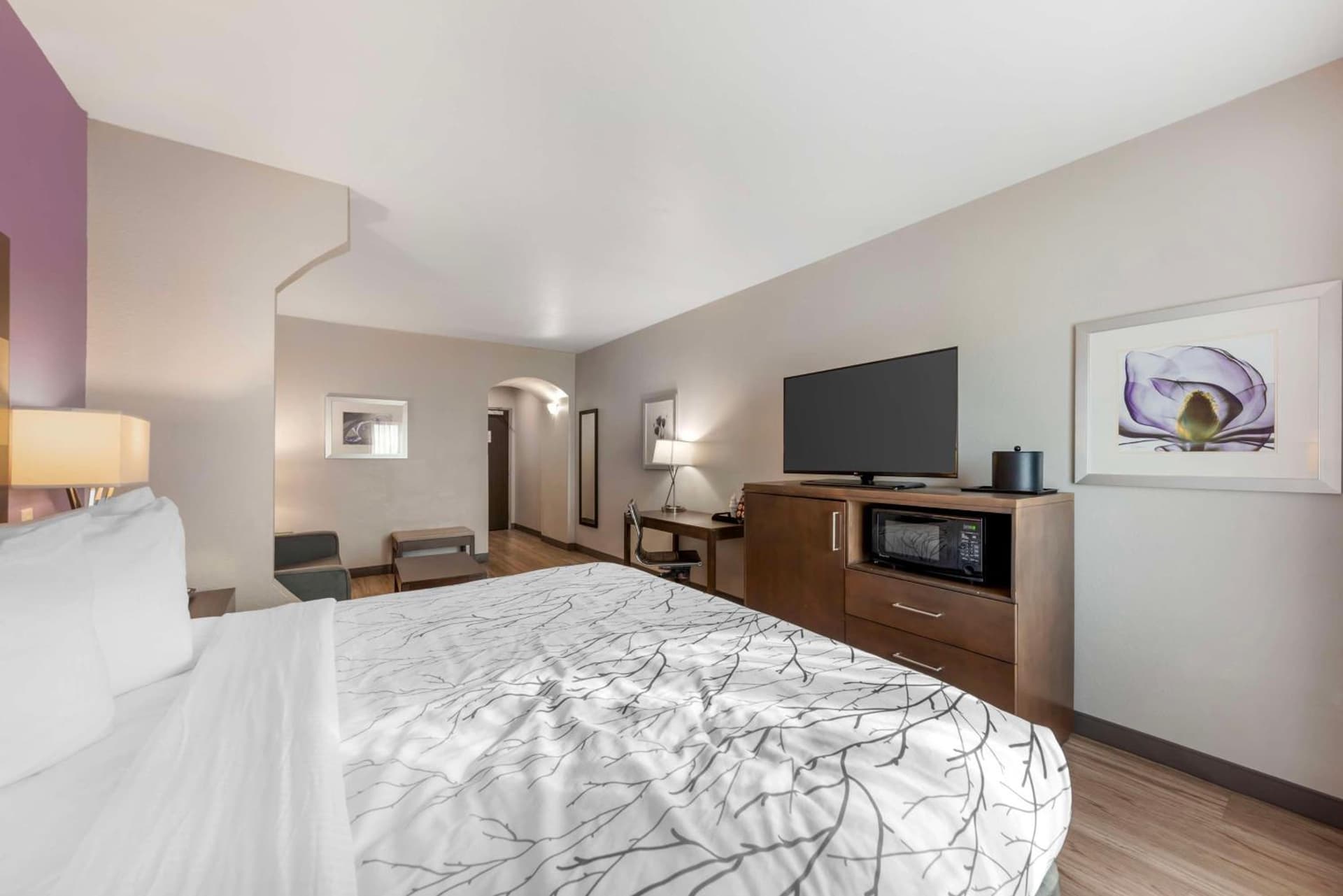 Best Western Plus Buda Austin Inn & Suites gallery photo in Buda, TX — image 36