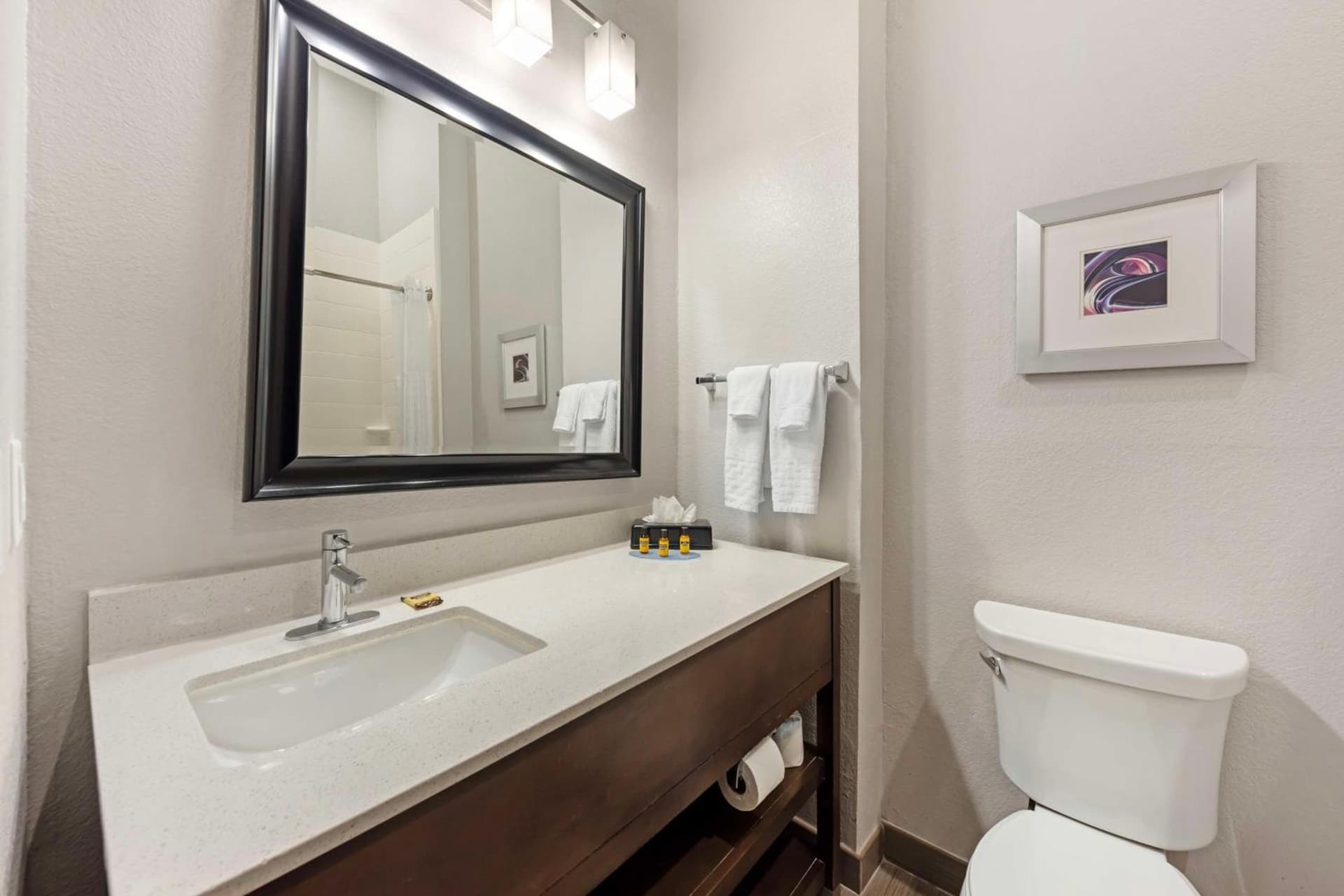 Best Western Plus Buda Austin Inn & Suites gallery photo in Buda, TX — image 26