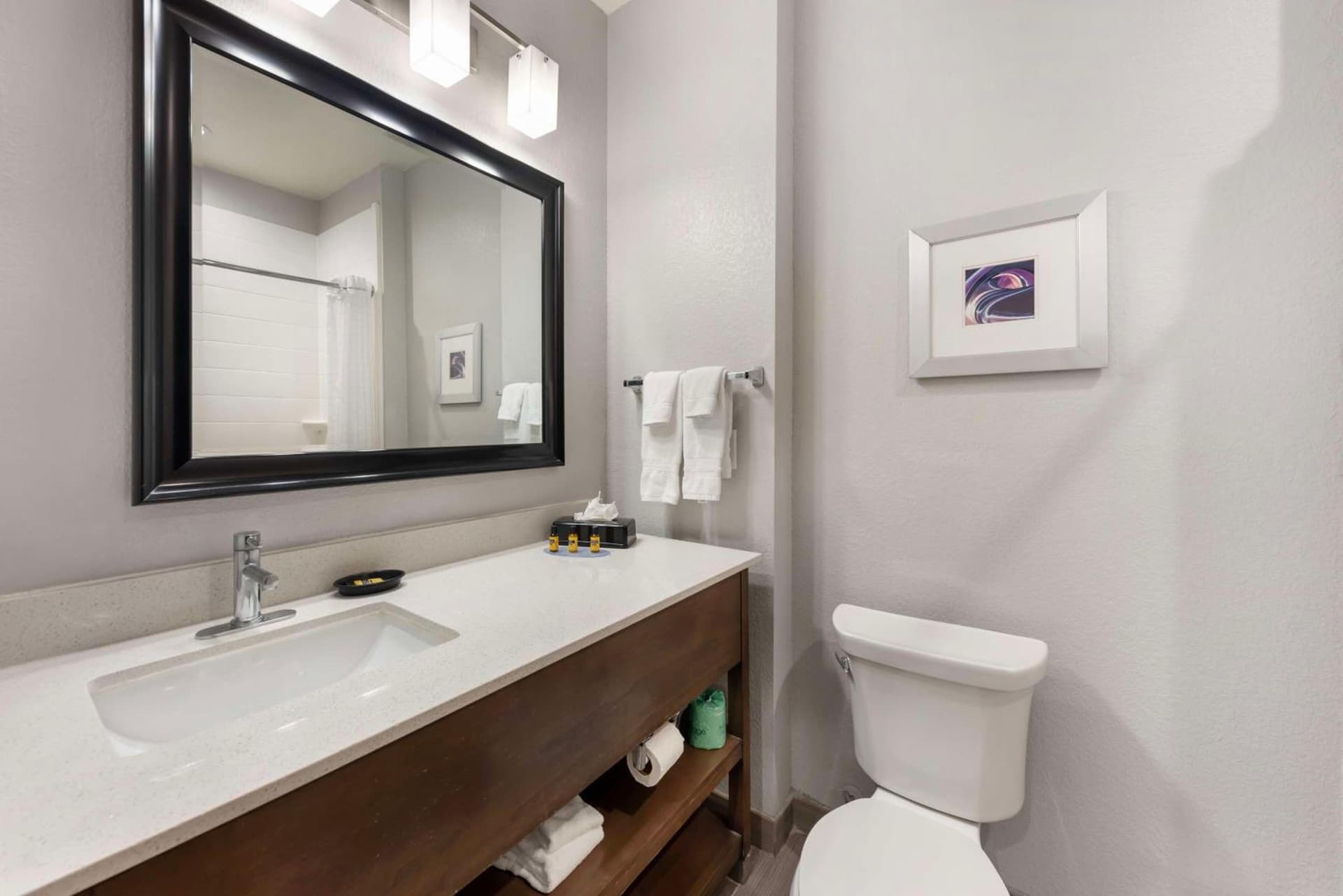 Best Western Plus Buda Austin Inn & Suites gallery photo in Buda, TX — image 29