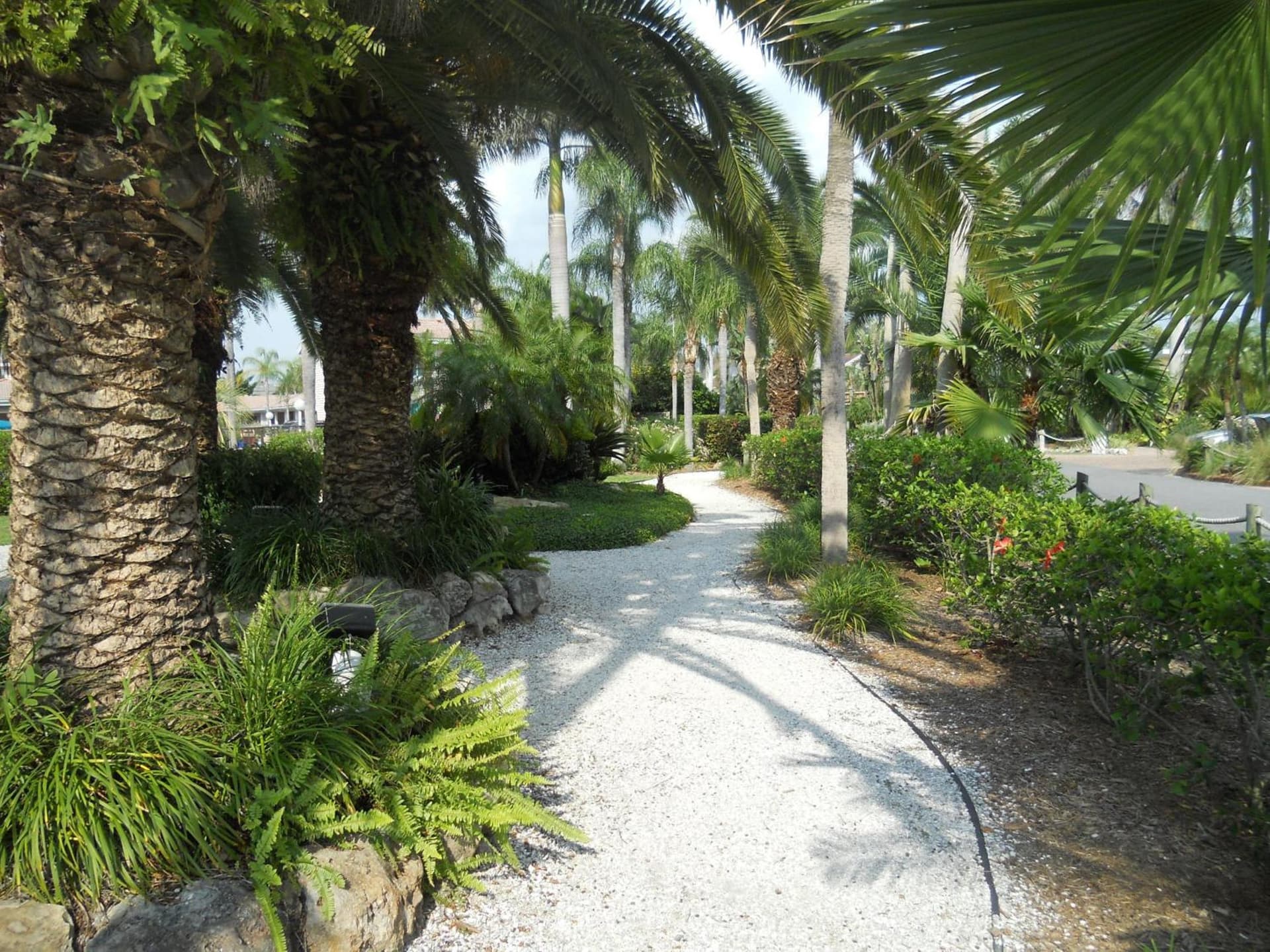 The Capri at Siesta gallery photo in Siesta Key, FL — image 135