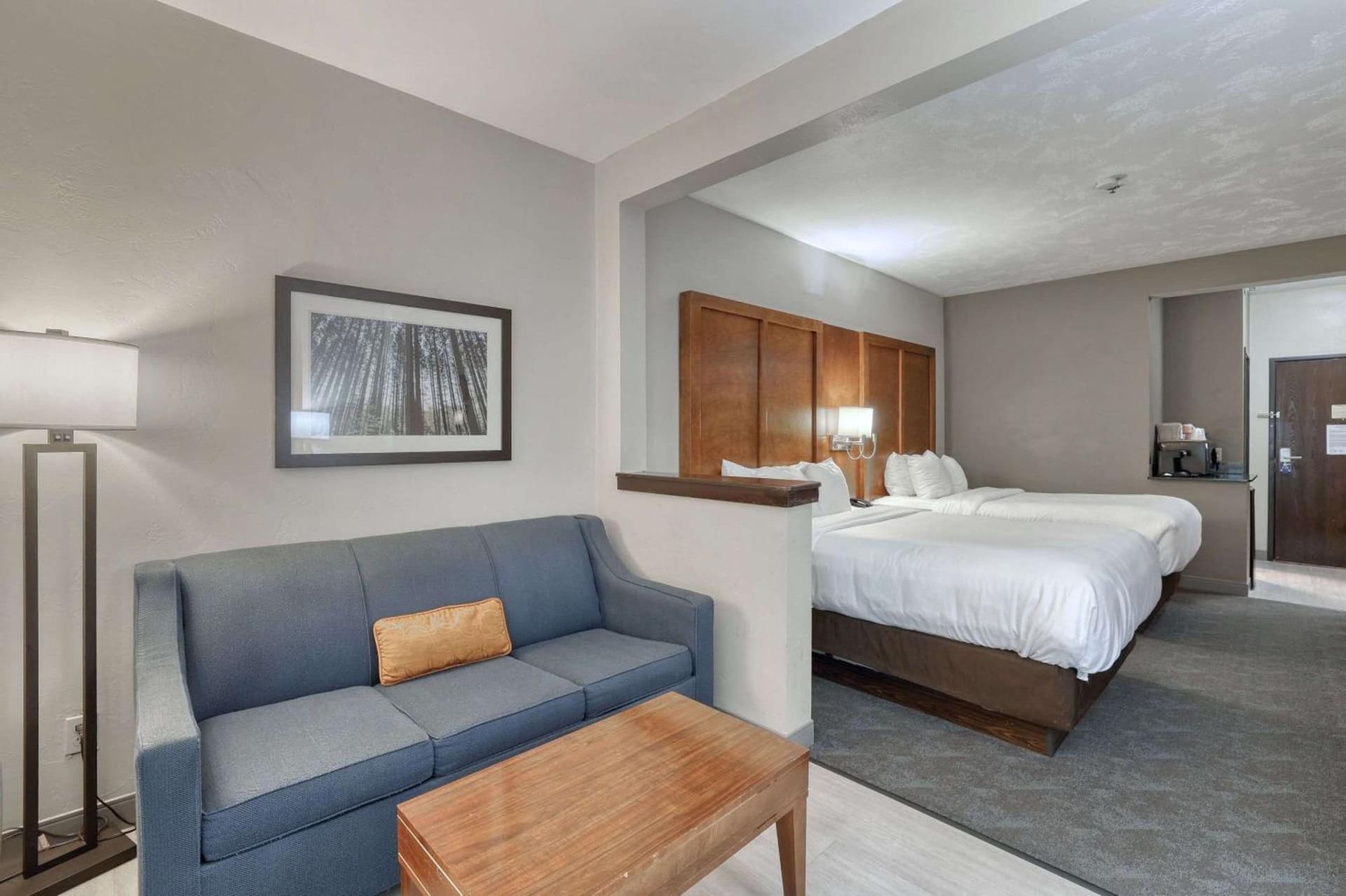 Comfort Suites Appleton Airport gallery photo in Appleton, WI — image 88