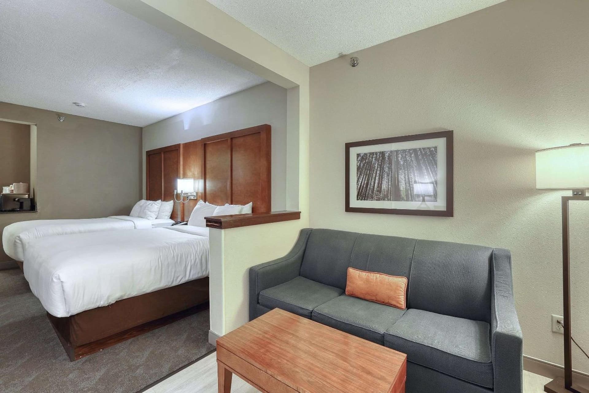 Comfort Suites Appleton Airport gallery photo in Appleton, WI — image 49